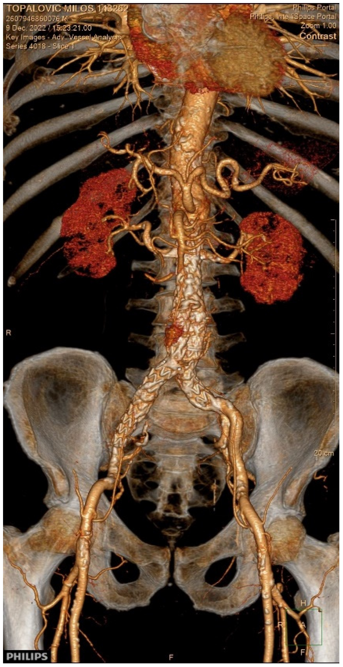 Diagnostics 15 02785 g004