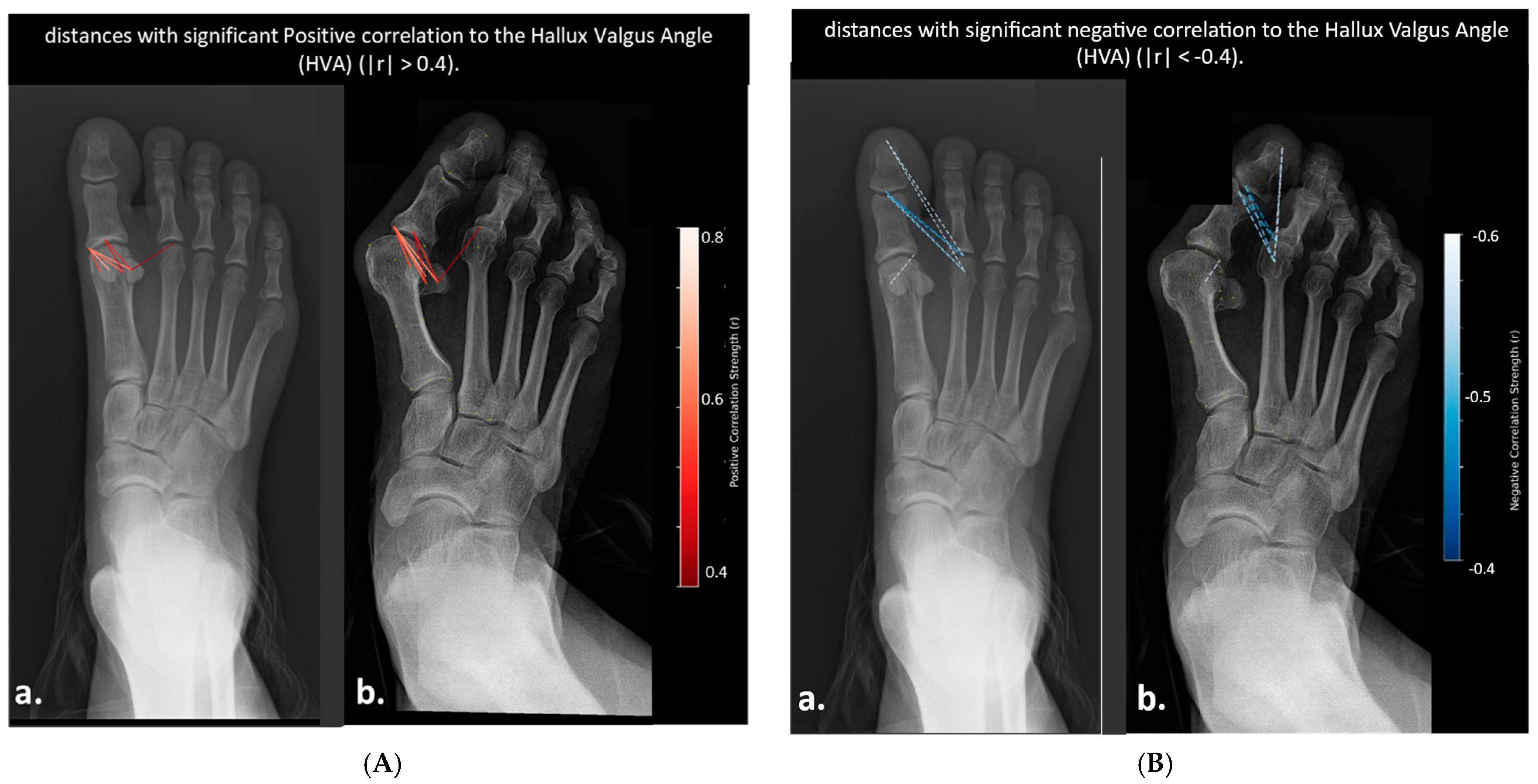 Diagnostics 15 02791 g004