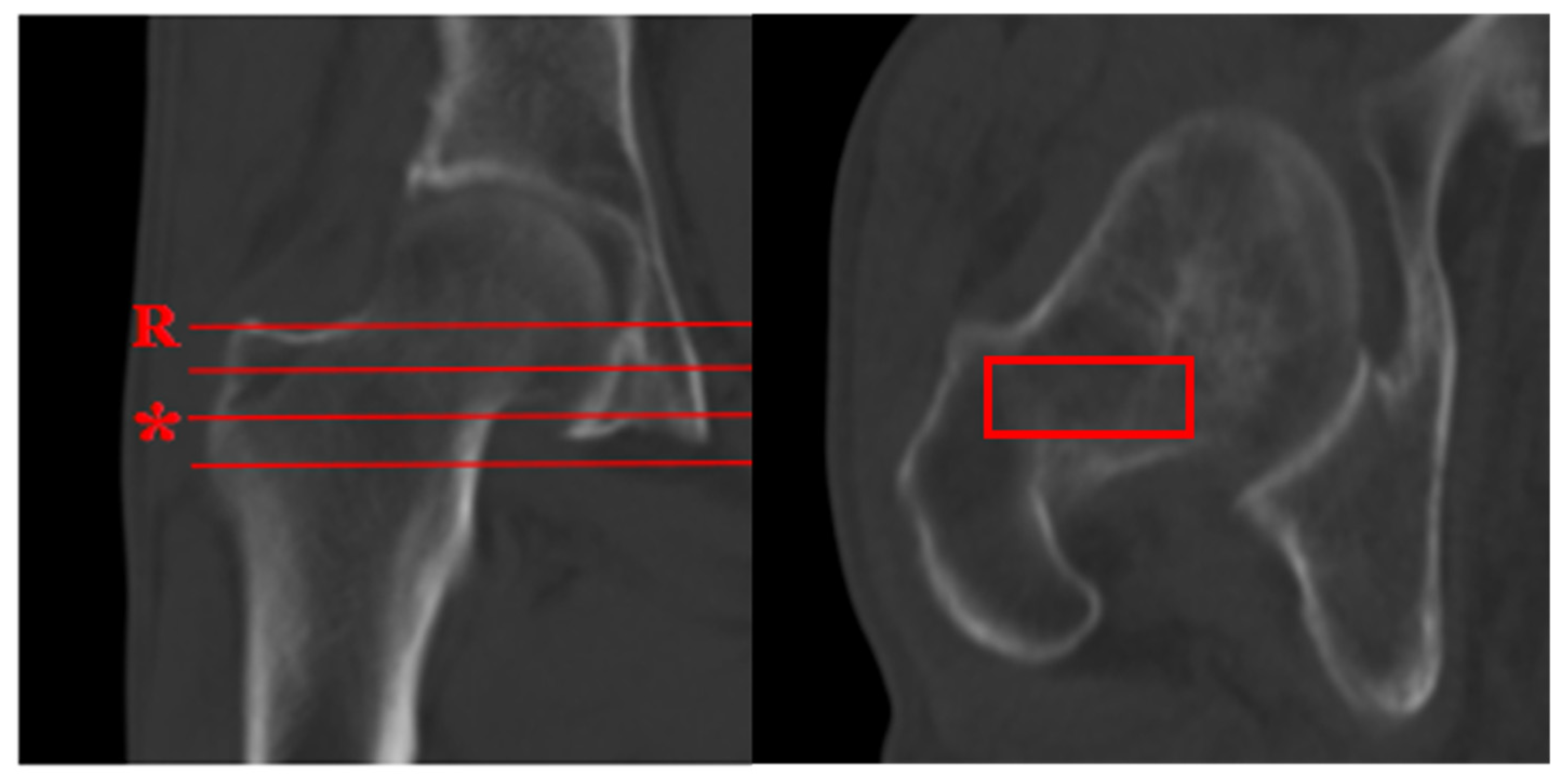 Diagnostics 15 02794 g001 Diagnostics 15 02794 g001