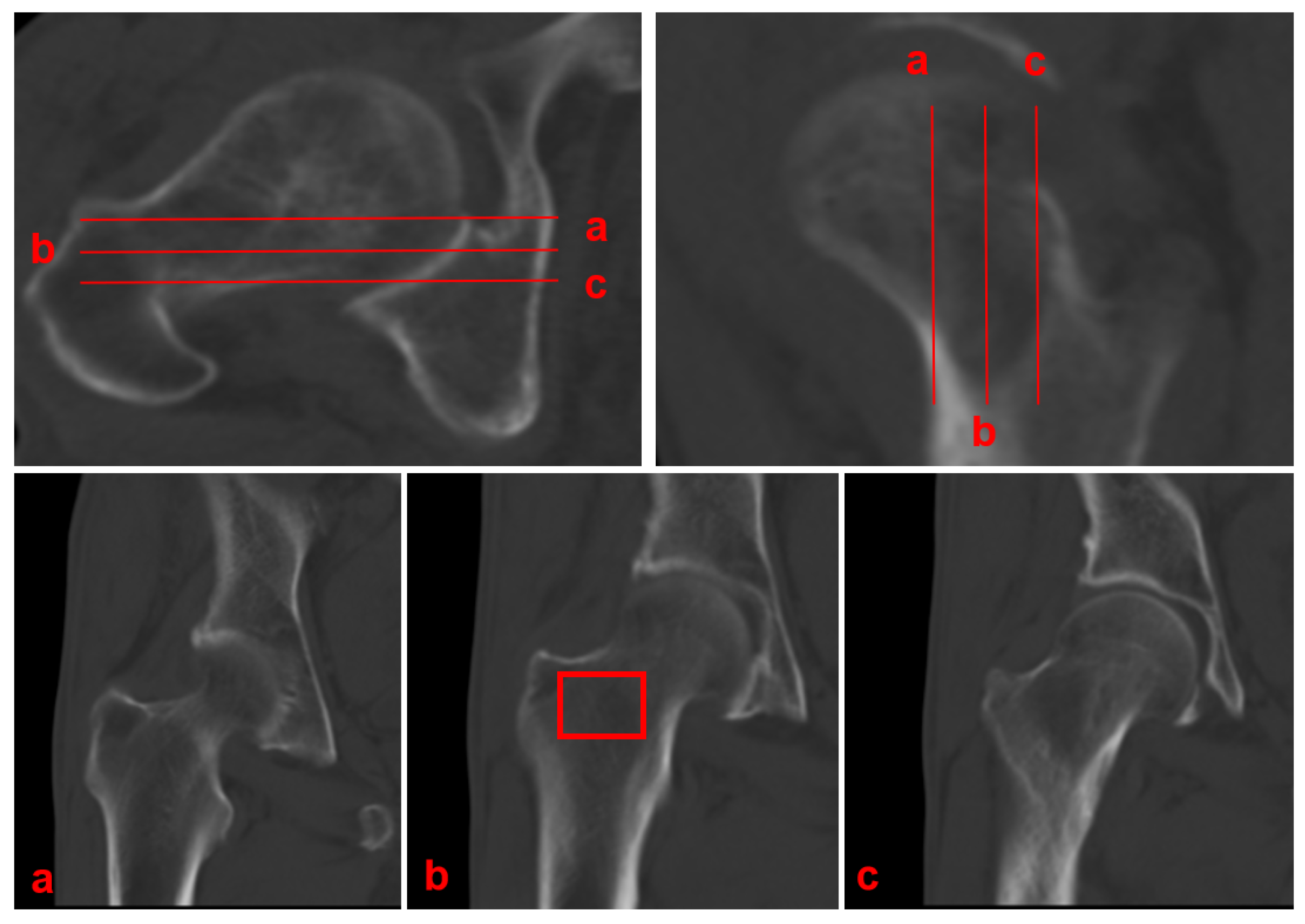 Diagnostics 15 02794 g002 Diagnostics 15 02794 g002