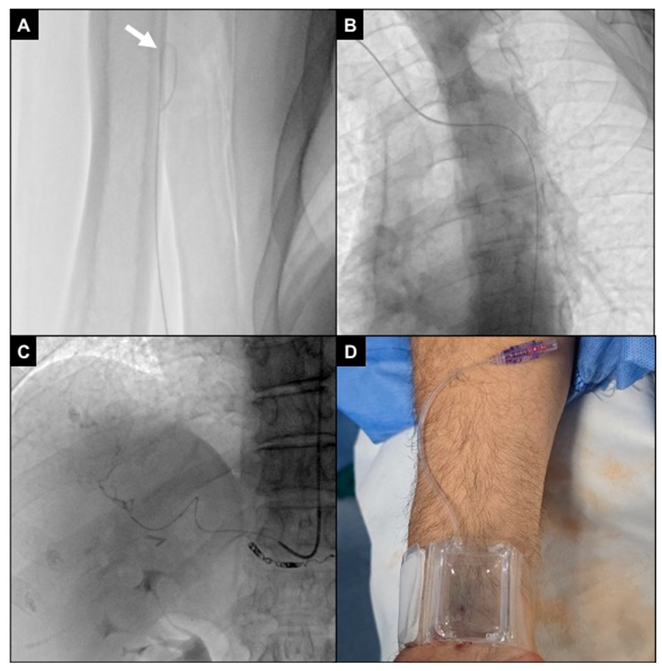 Diagnostics 15 02796 g005 Diagnostics 15 02796 g005