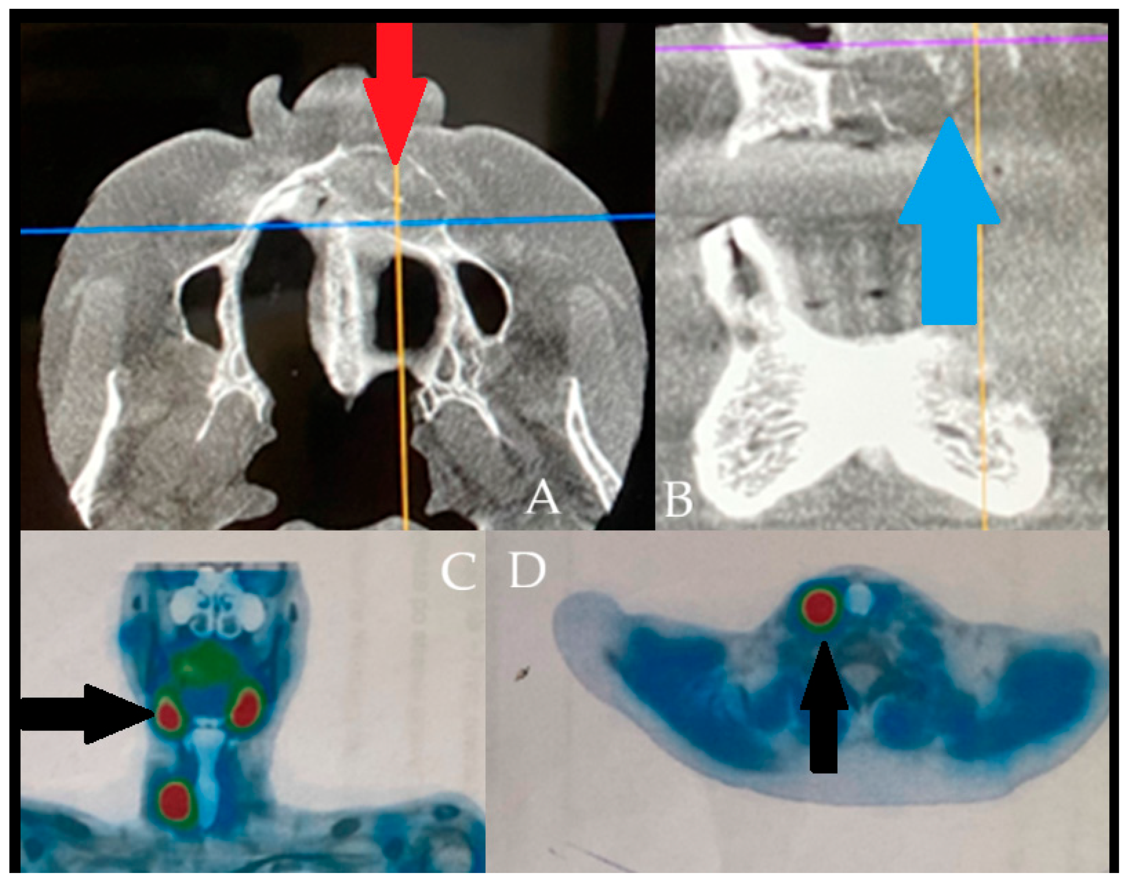 Diagnostics 15 02798 g006 Diagnostics 15 02798 g006