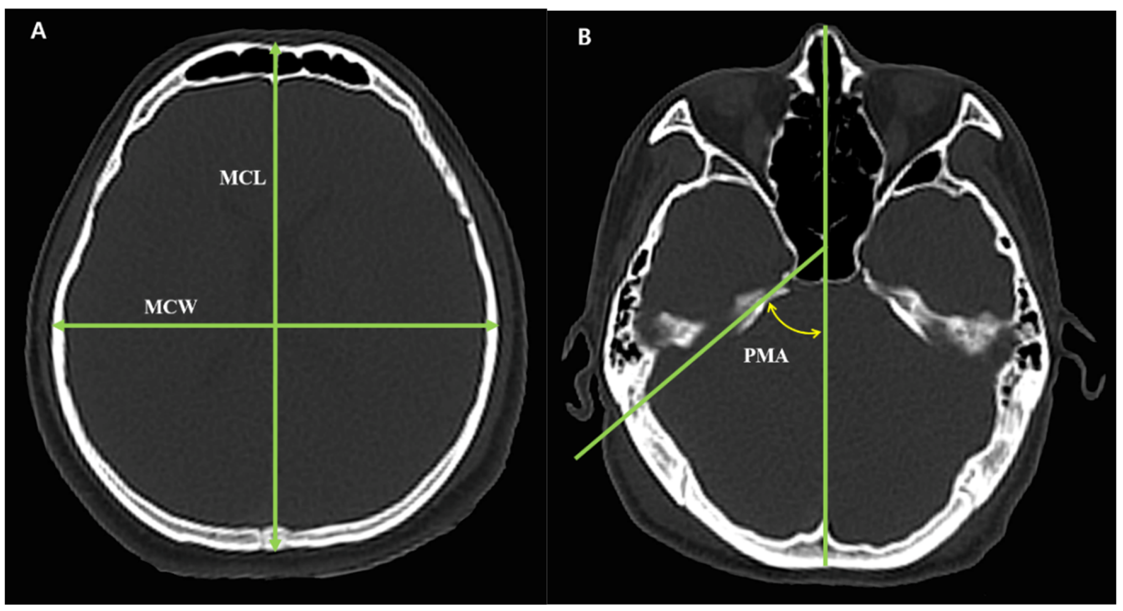 Diagnostics 15 02802 g002 Diagnostics 15 02802 g002