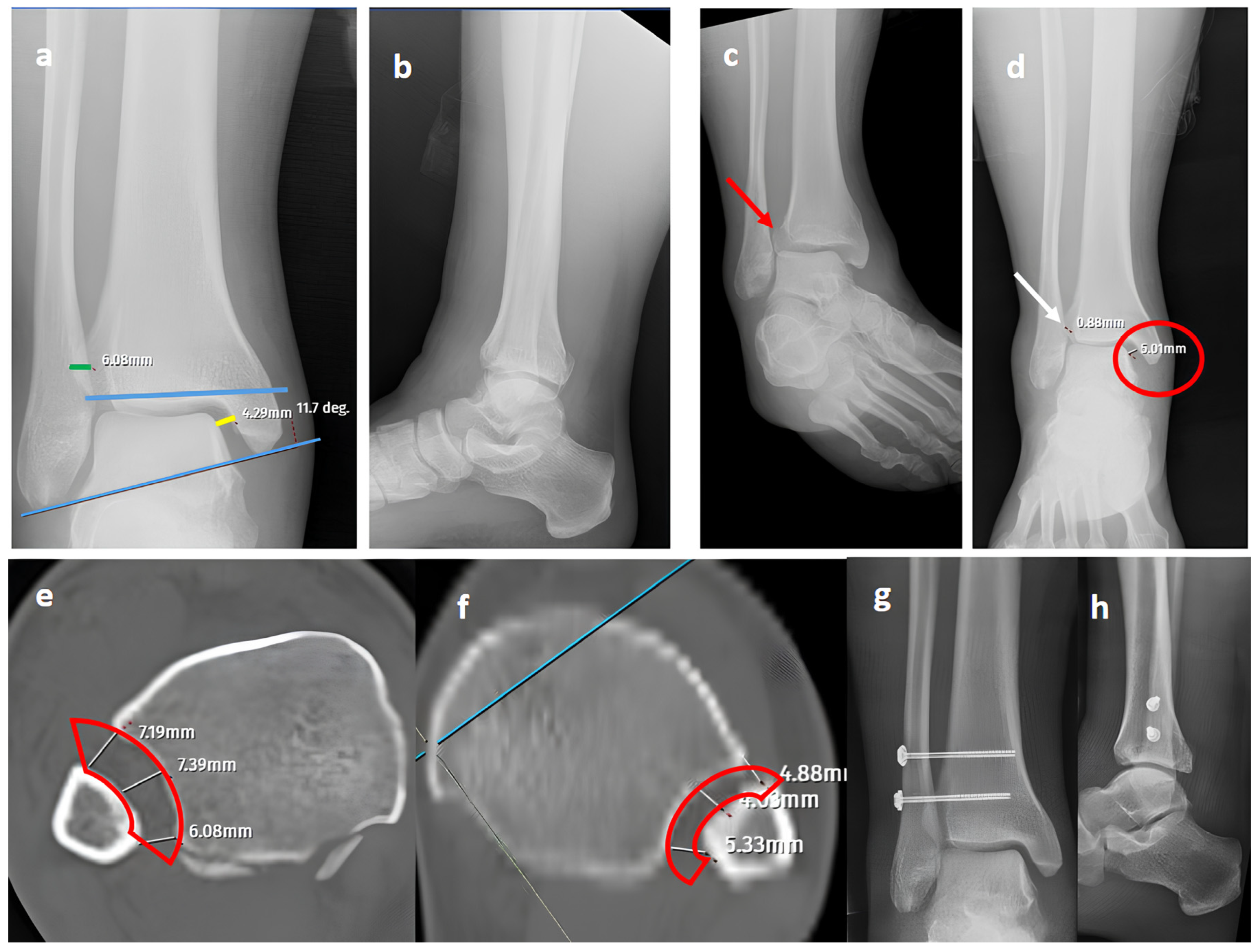 Diagnostics 15 02803 g002