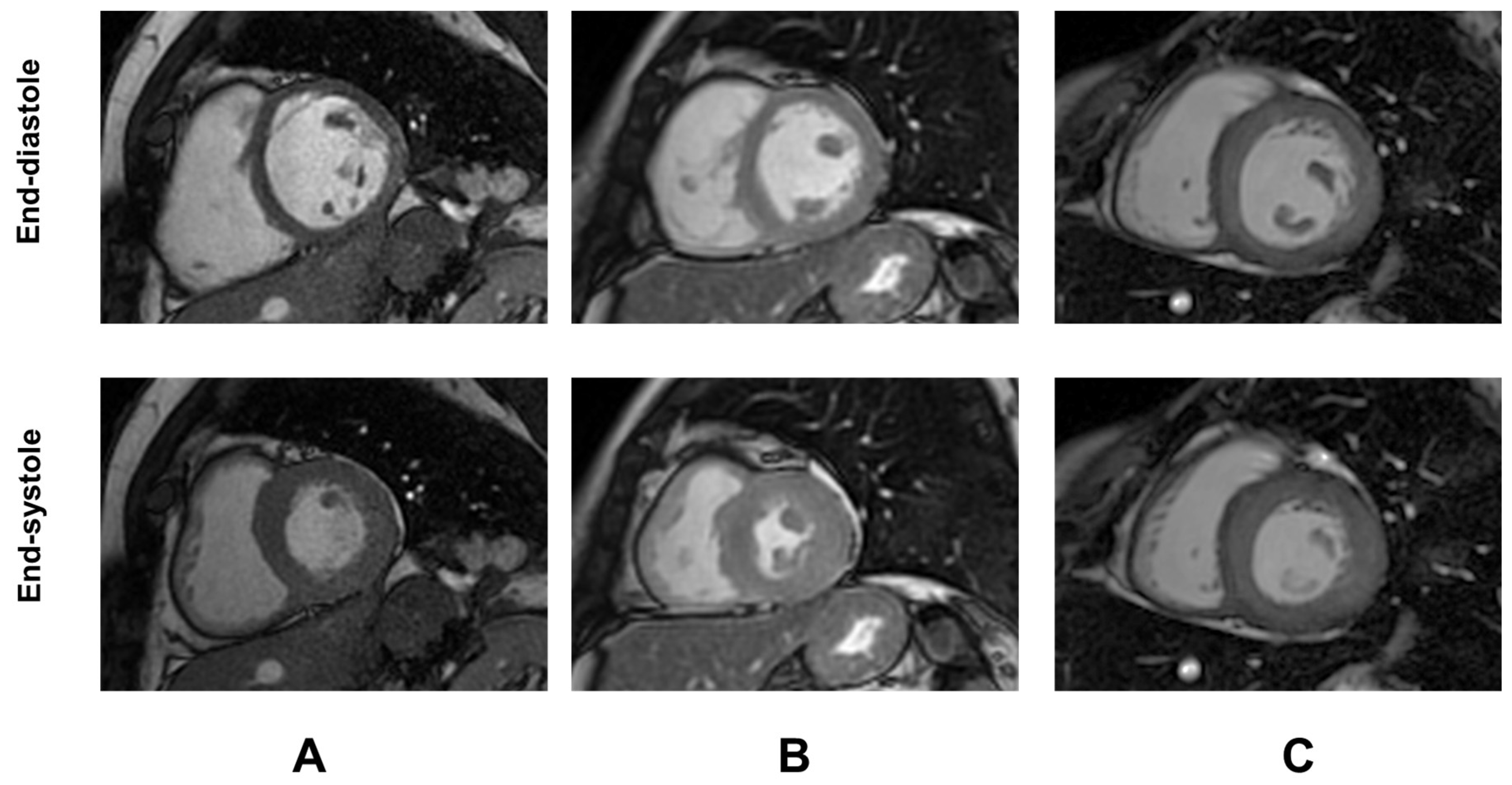 Diagnostics 15 02805 g001 Diagnostics 15 02805 g001