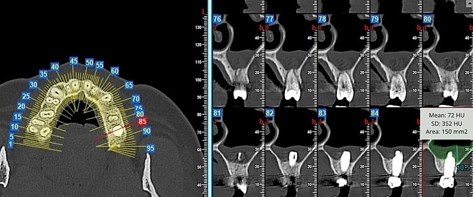Diagnostics 15 02809 g001