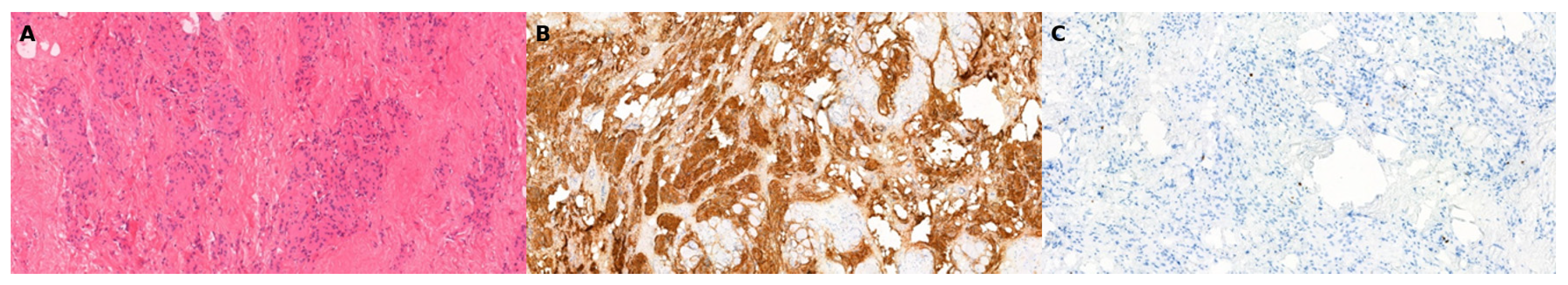 Diagnostics 15 02810 g002 Diagnostics 15 02810 g002