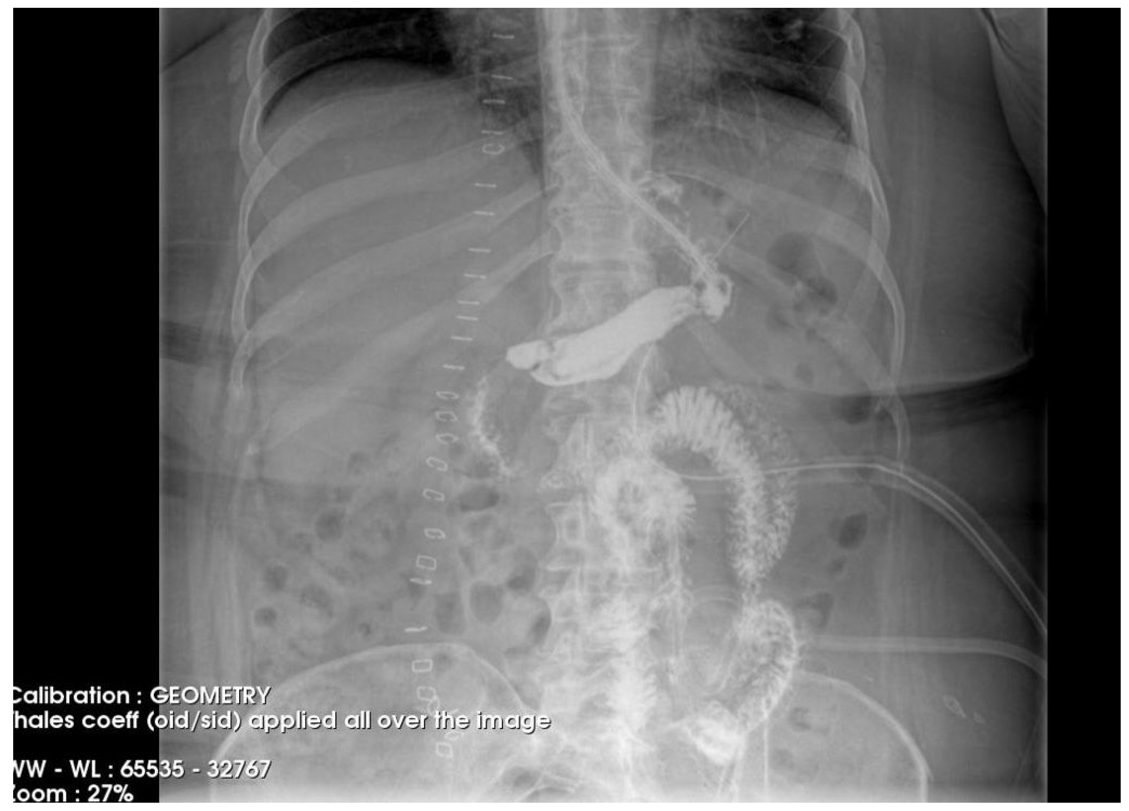 Diagnostics 15 02811 g004