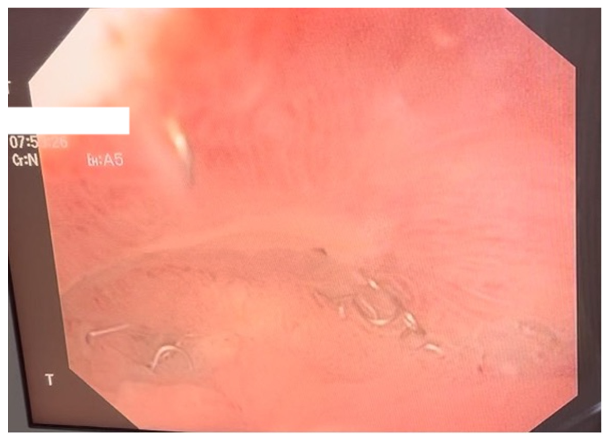 Diagnostics 15 02811 g005