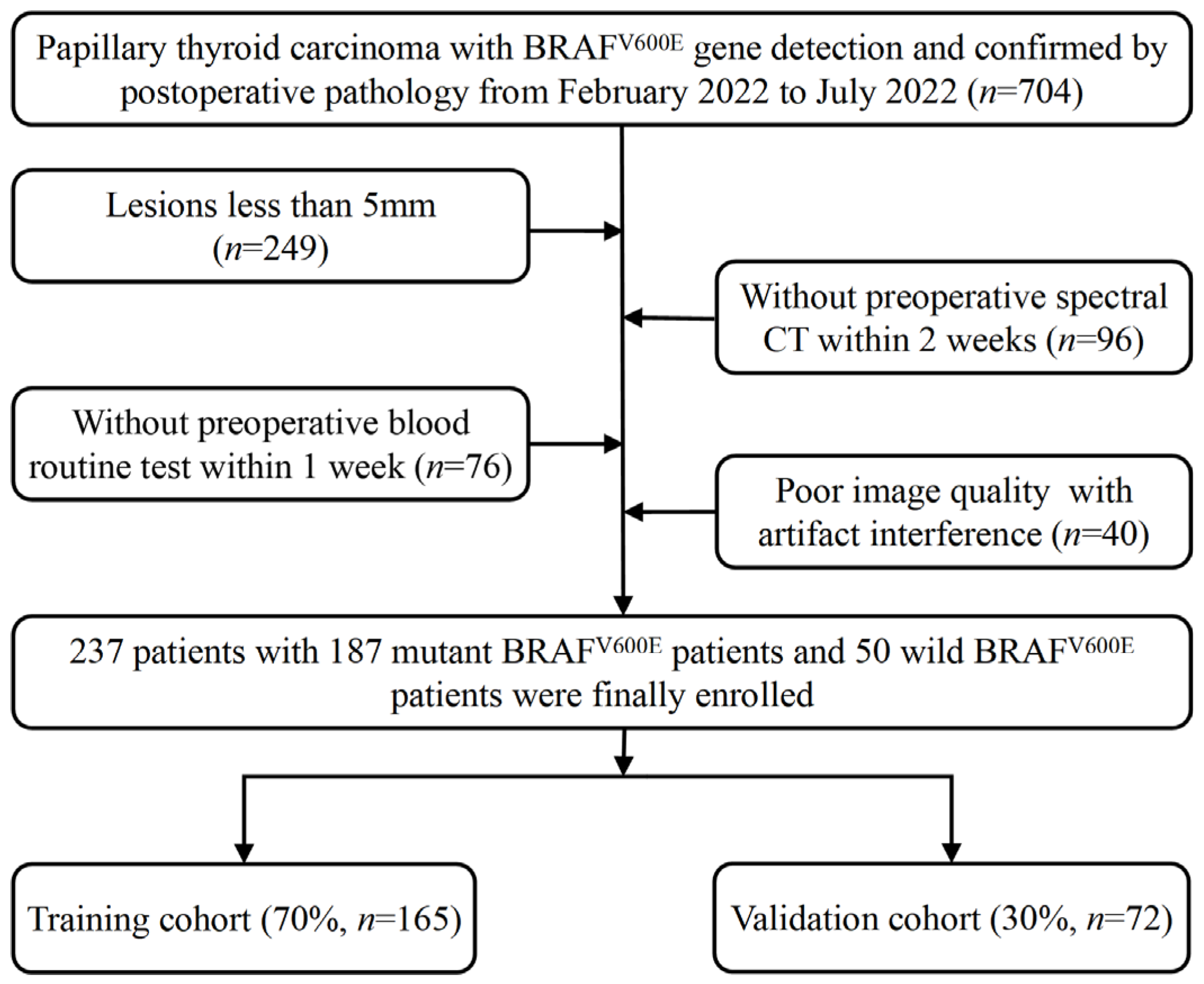 Diagnostics 15 02817 g001 Diagnostics 15 02817 g001