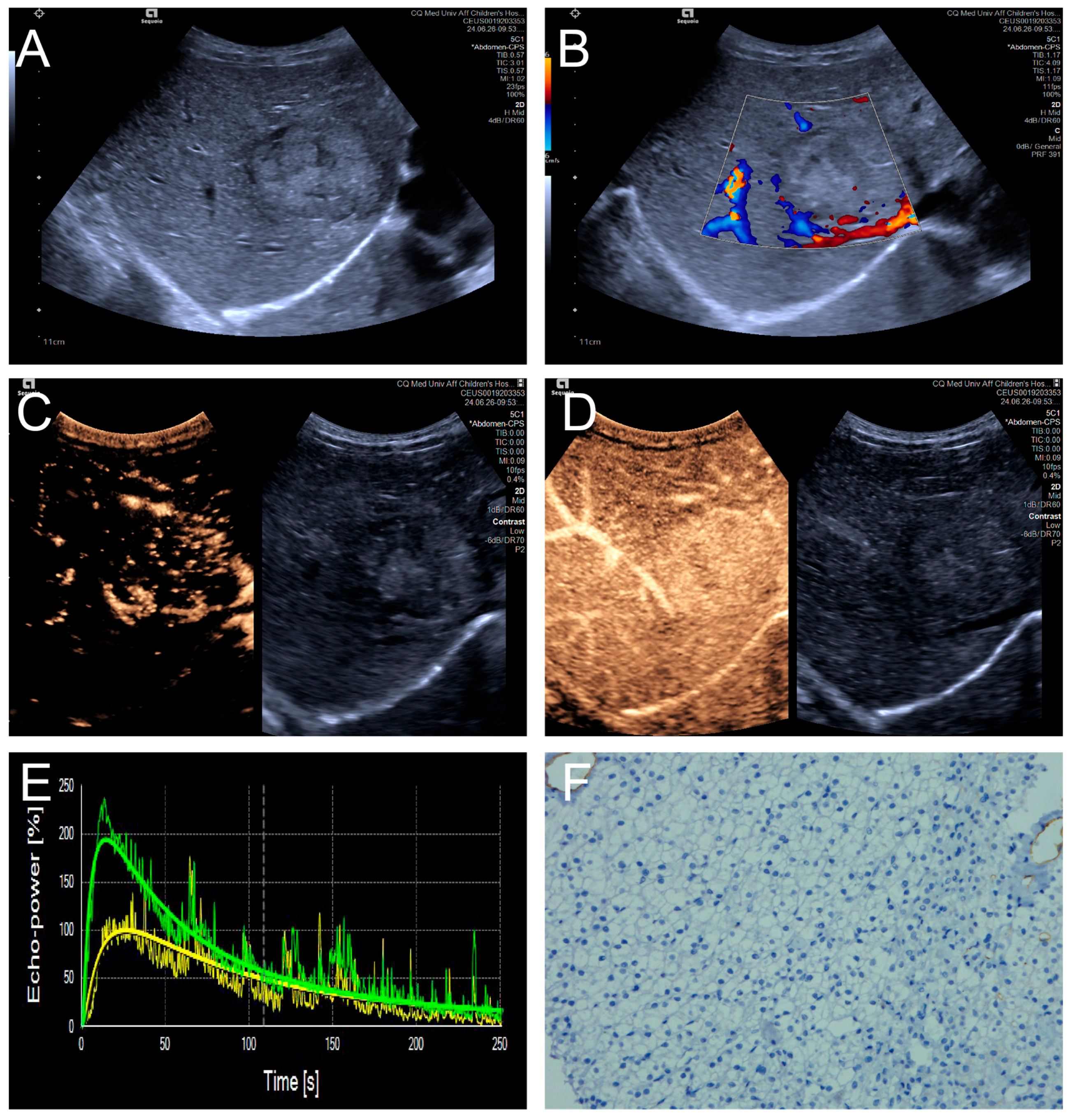 Diagnostics 15 02819 g003
