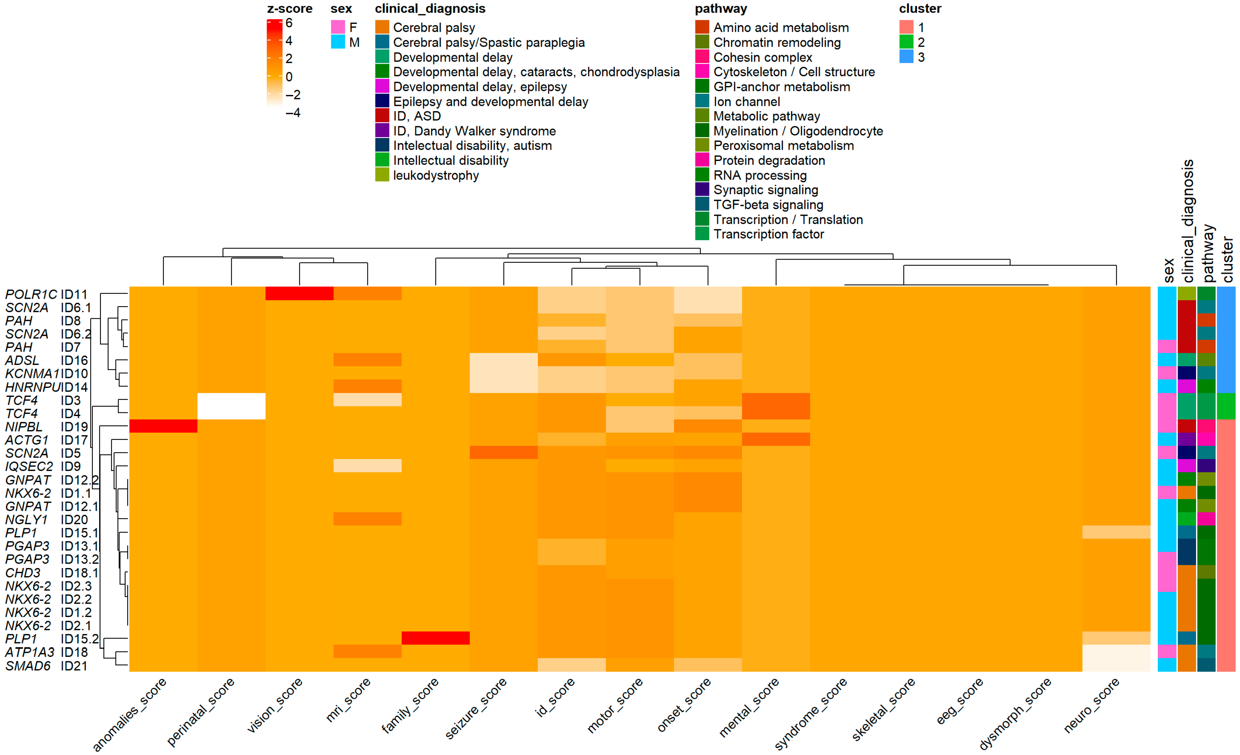 Diagnostics 15 02821 g005