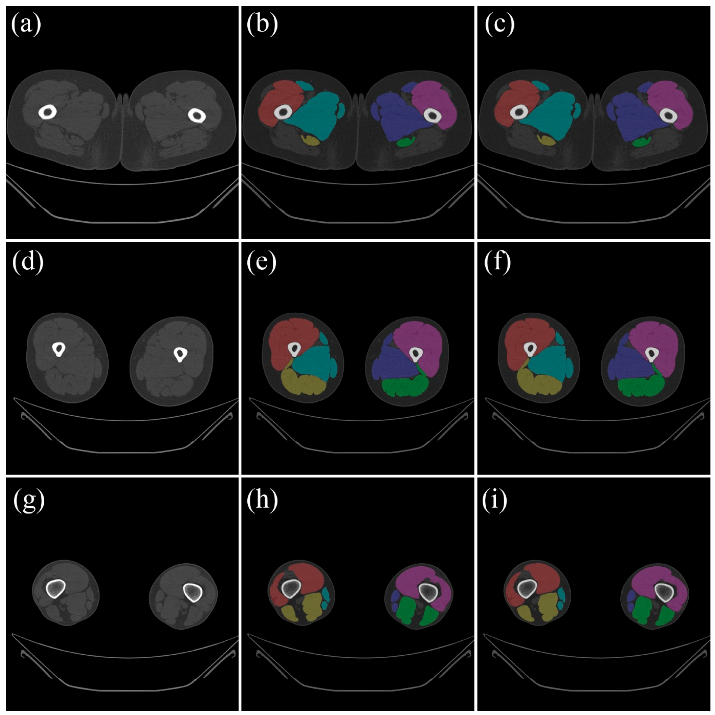 Diagnostics 15 02823 g002