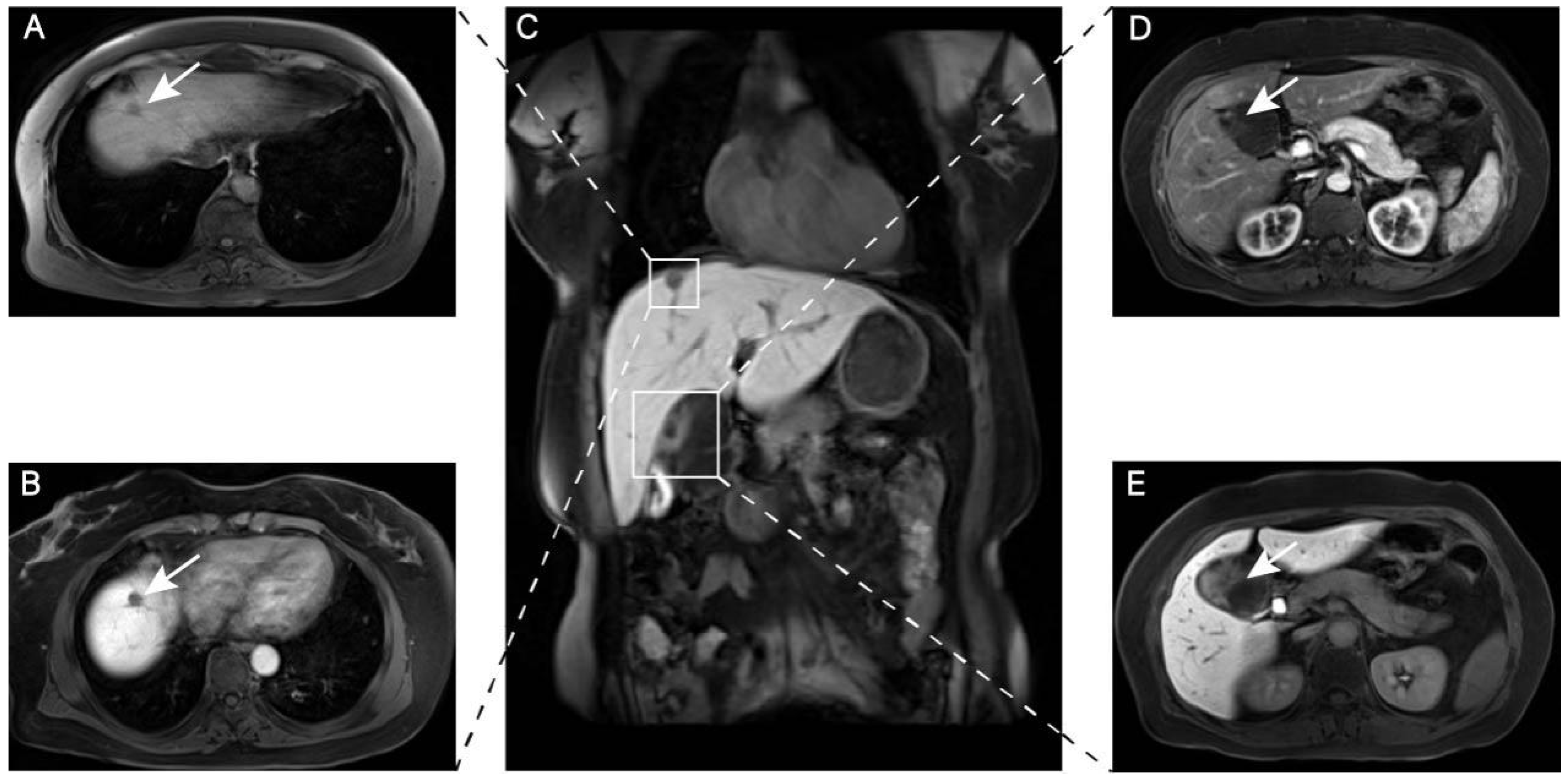 Diagnostics 15 02827 g001