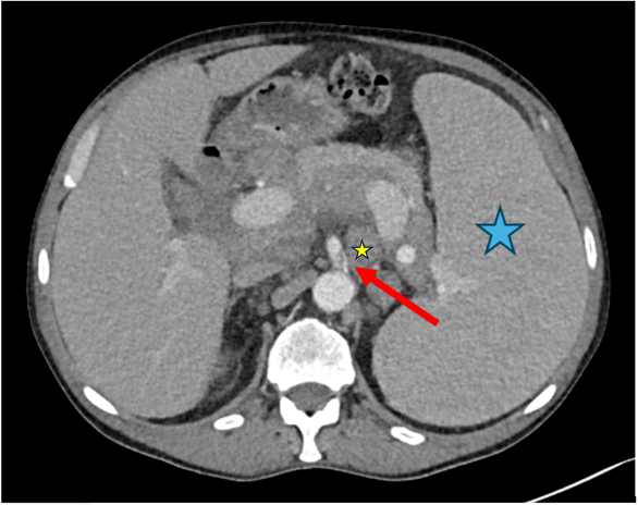 Diagnostics 15 02832 g007 Diagnostics 15 02832 g007