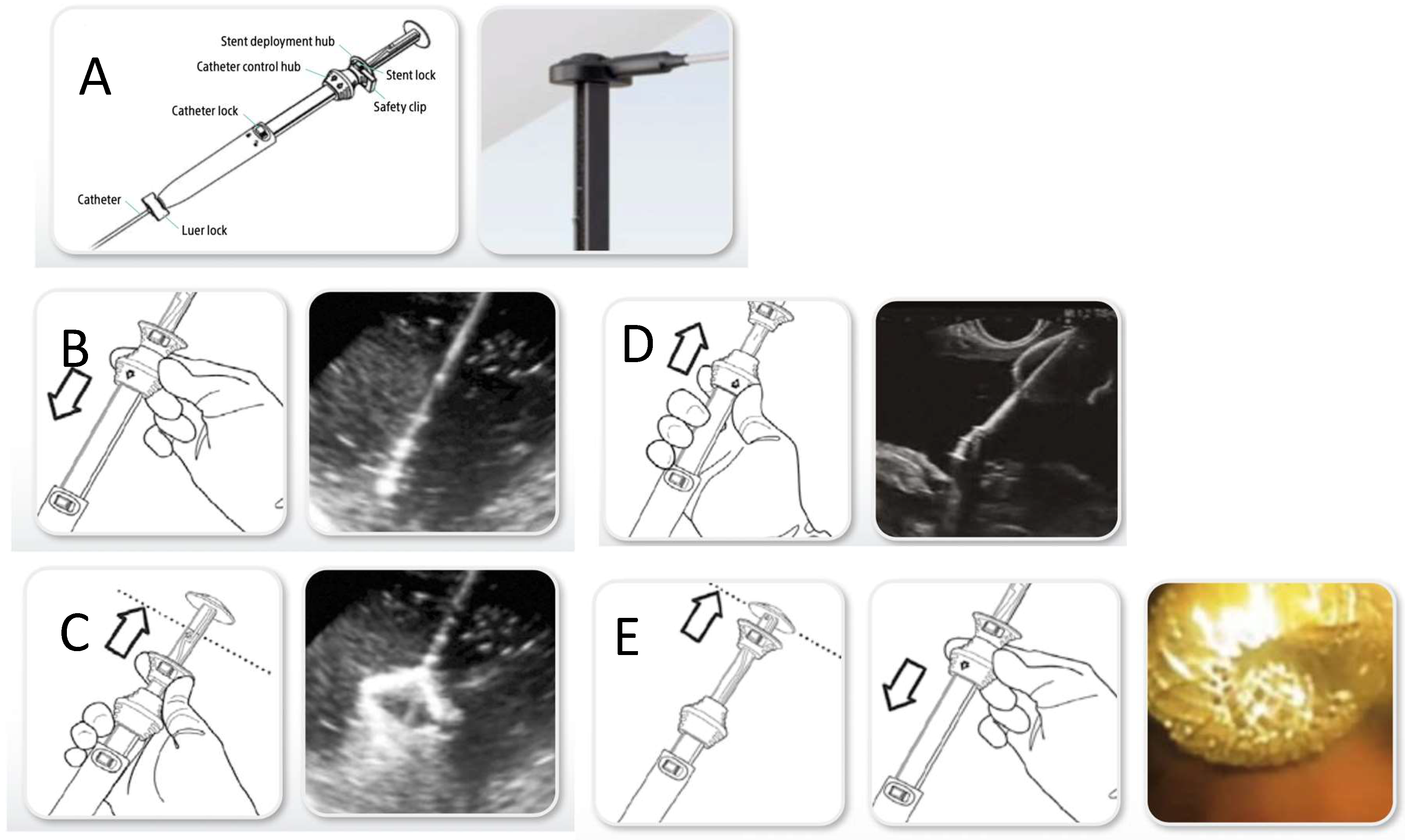 Diagnostics 15 02835 g001 Diagnostics 15 02835 g001