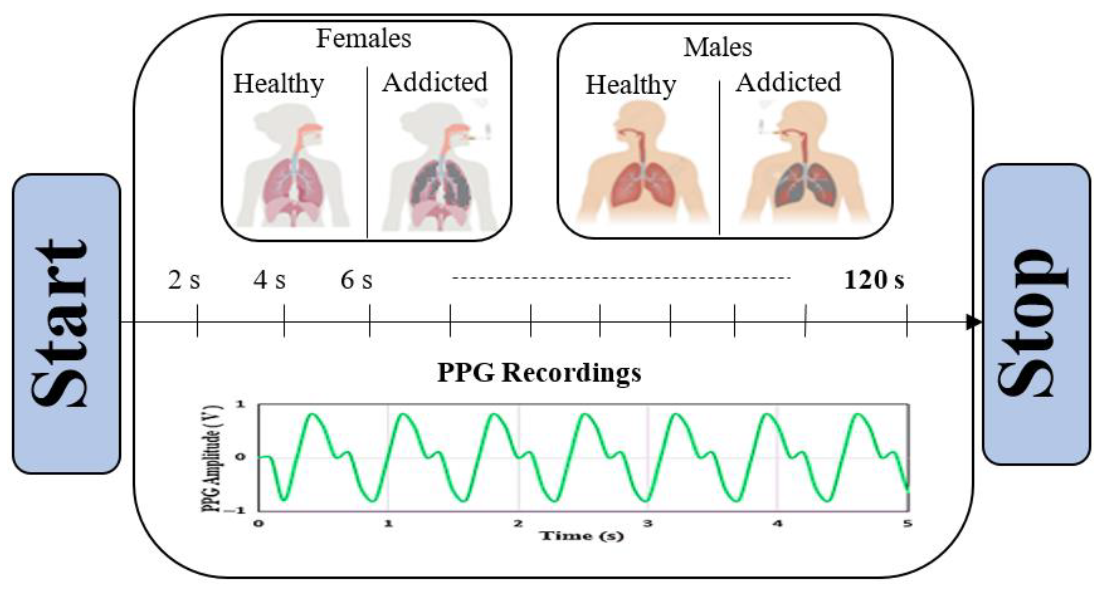 Diagnostics 15 02839 g001