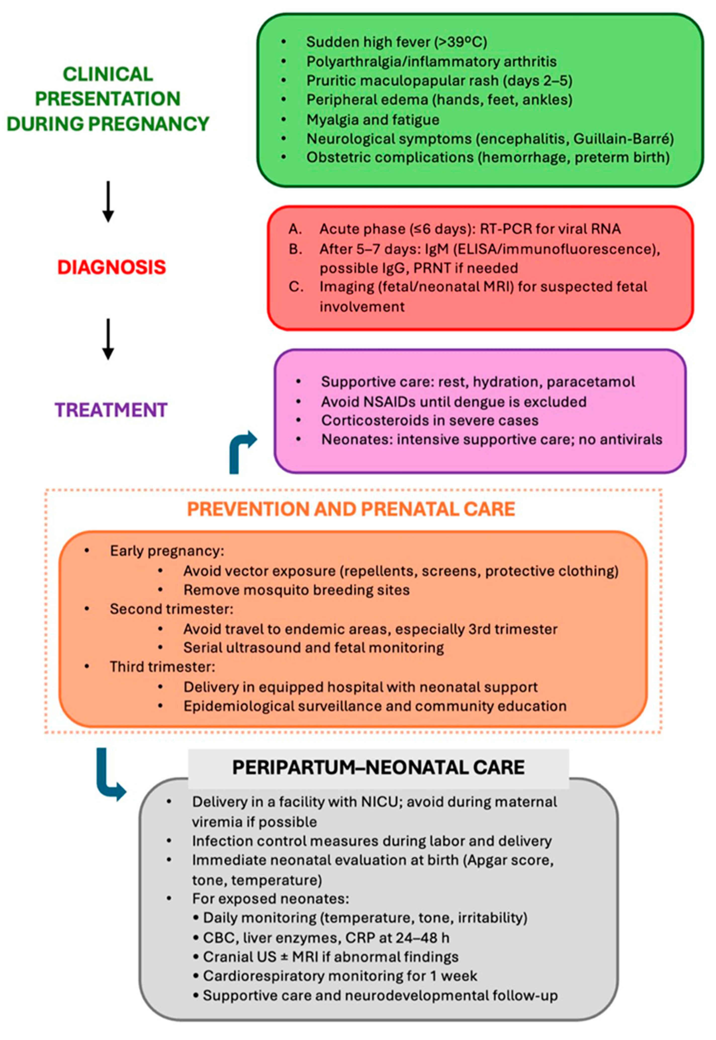 Diagnostics 15 02843 g002