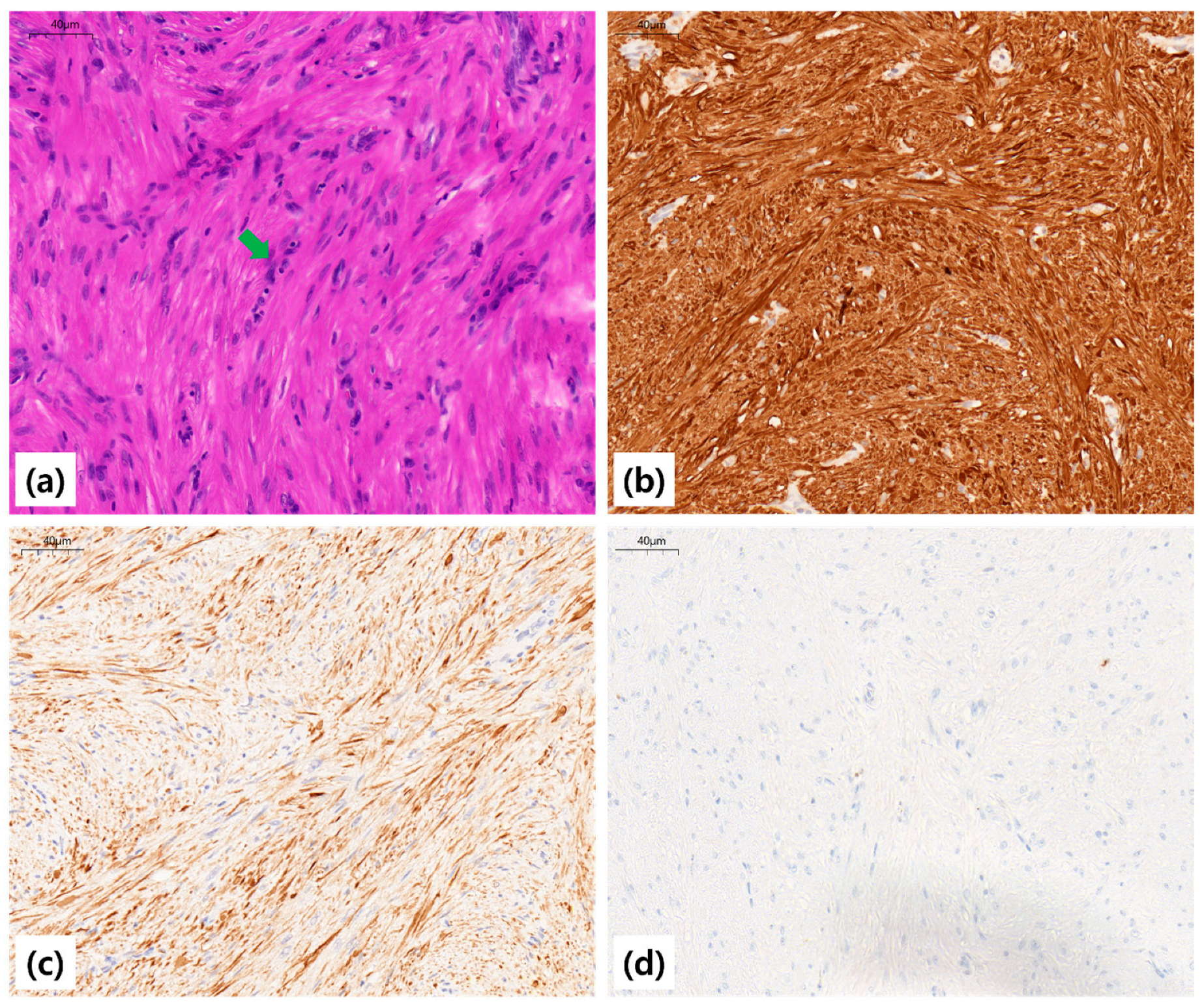 Diagnostics 15 02850 g004