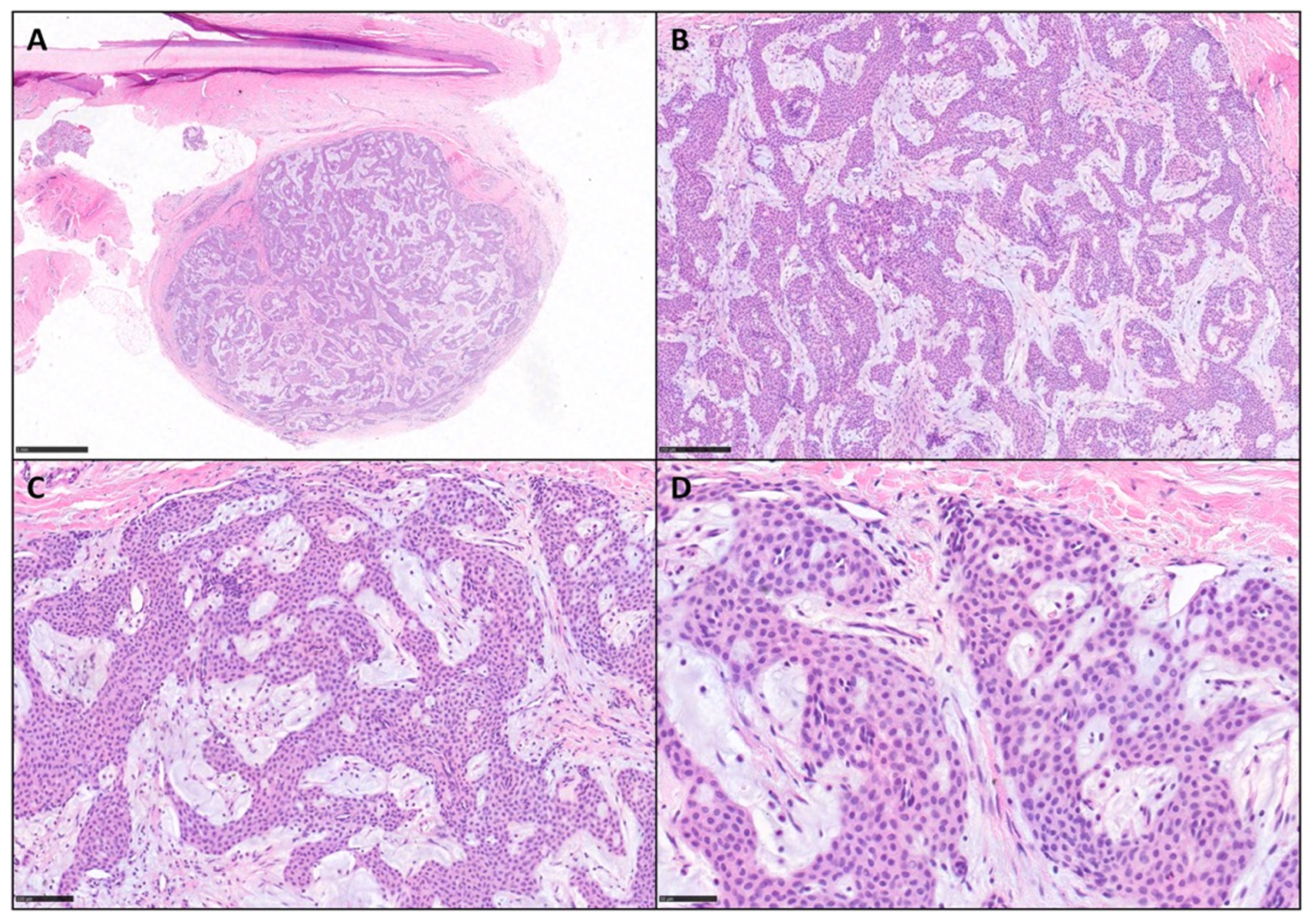 Diagnostics 15 02852 g001 Diagnostics 15 02852 g001