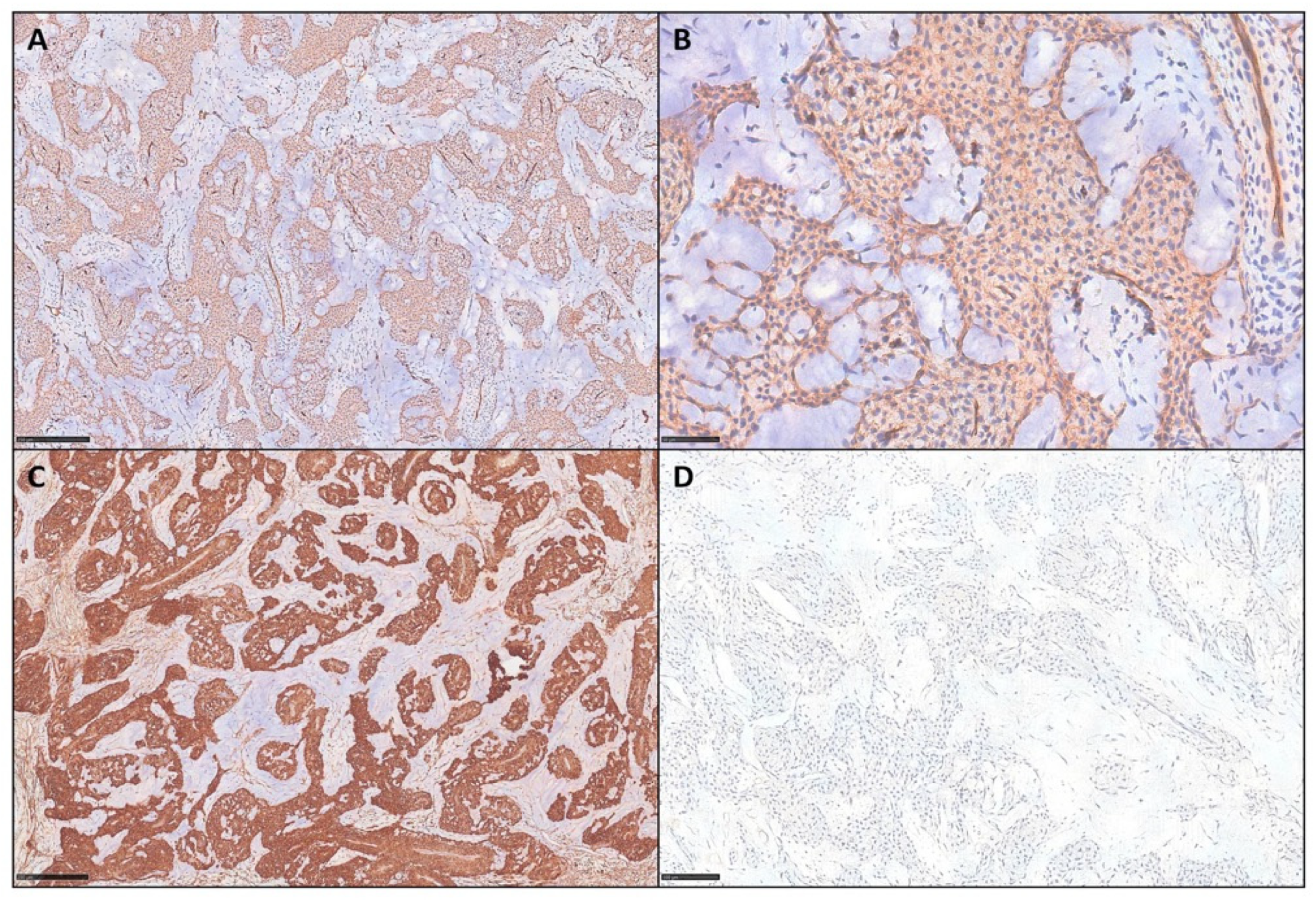 Diagnostics 15 02852 g002 Diagnostics 15 02852 g002