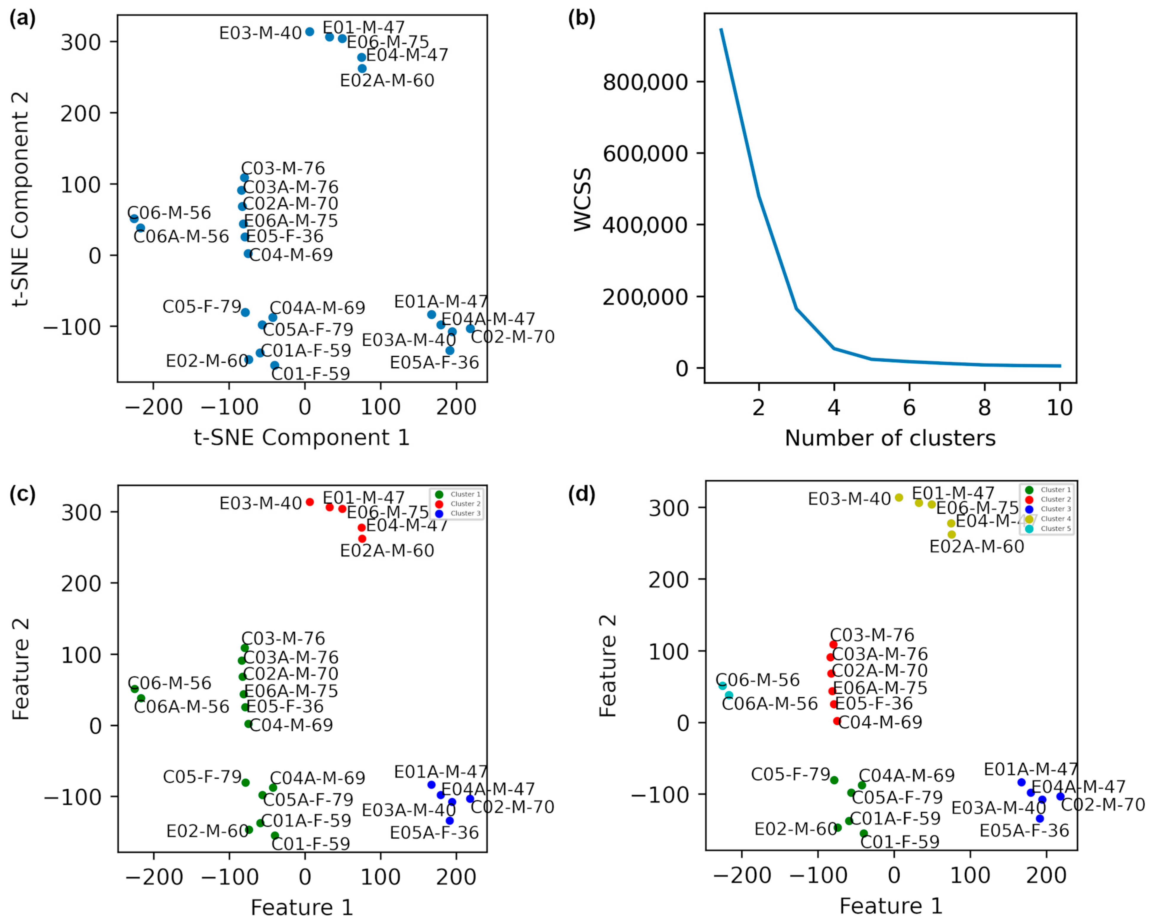 Diagnostics 15 02855 g003