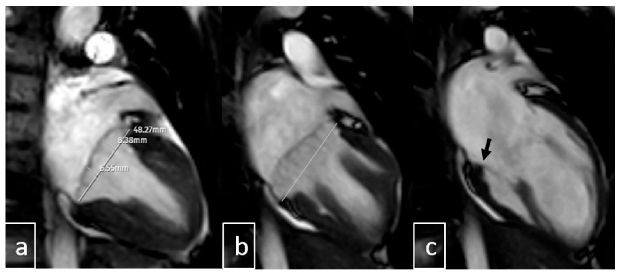 Diagnostics 15 02857 g005
