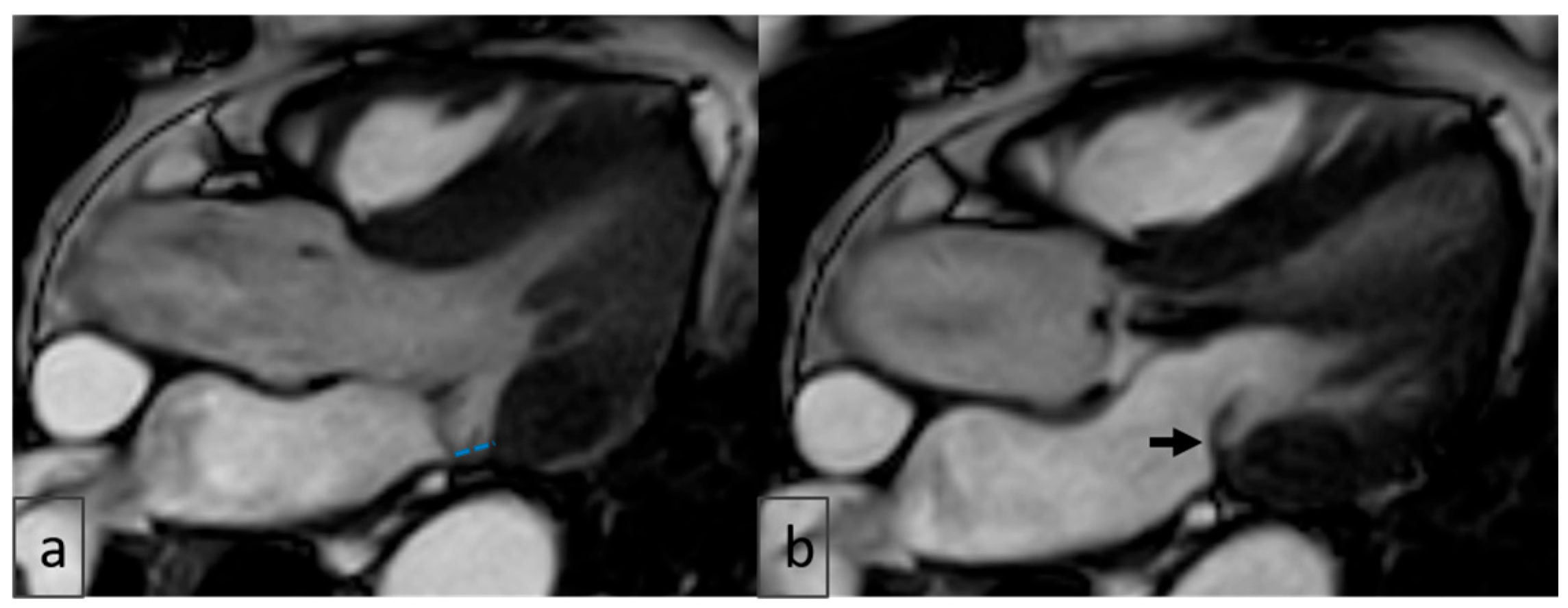 Diagnostics 15 02857 g007