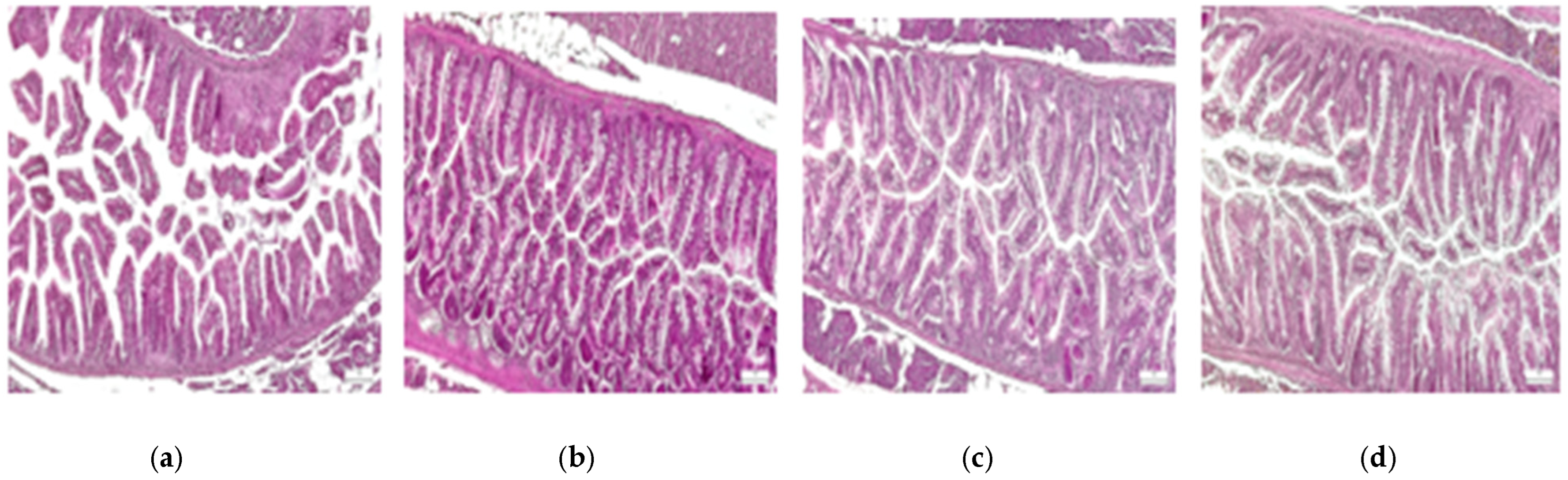 Diagnostics 15 02859 g002