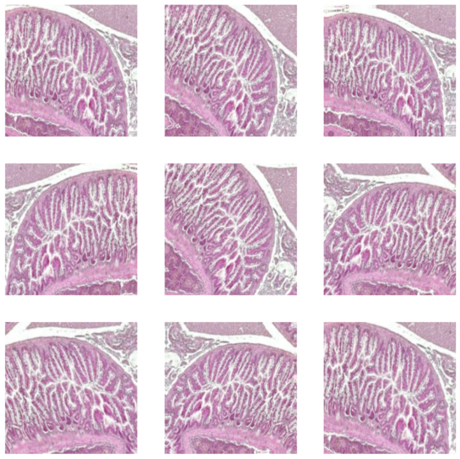 Diagnostics 15 02859 g003
