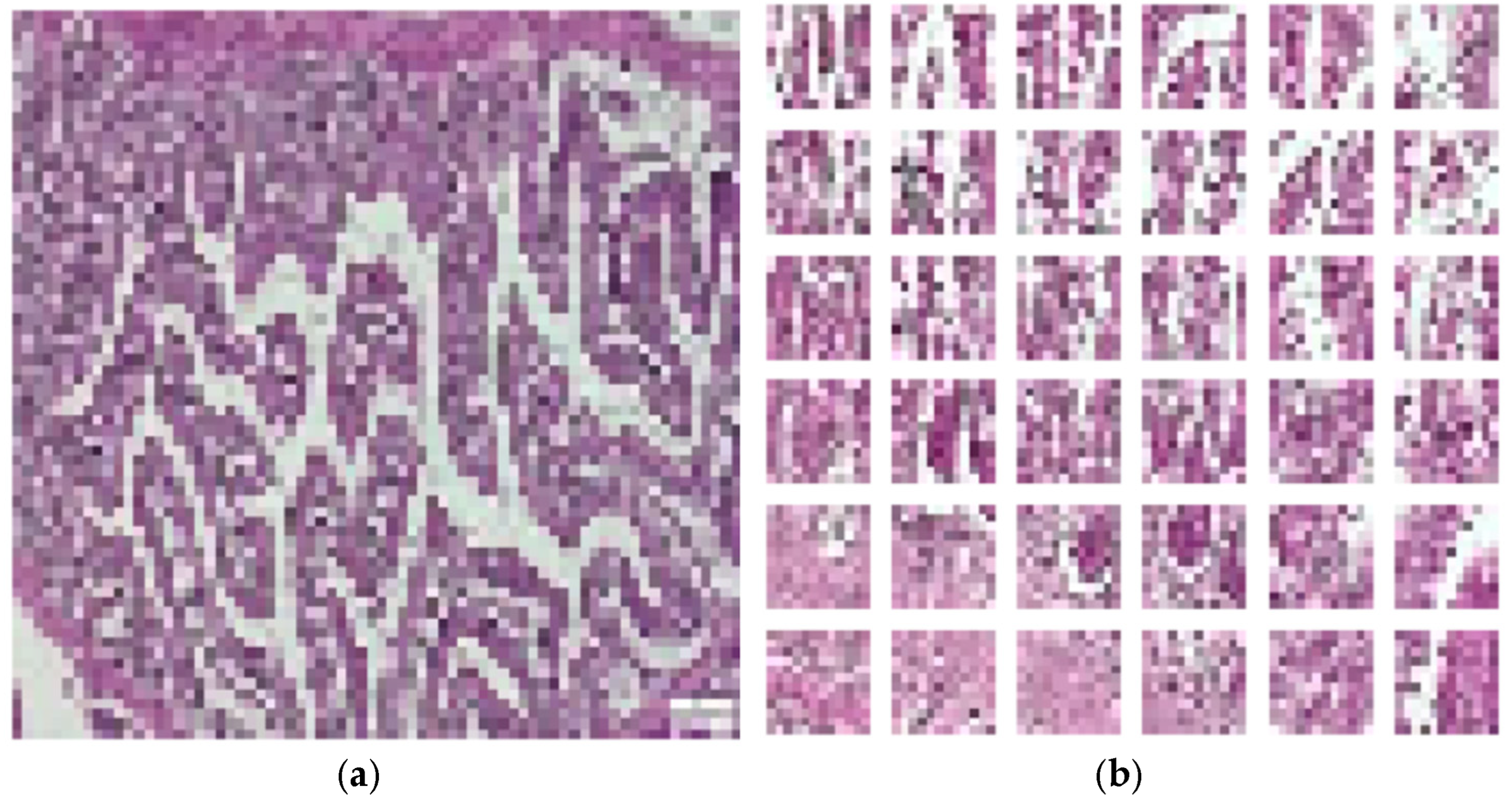 Diagnostics 15 02859 g006
