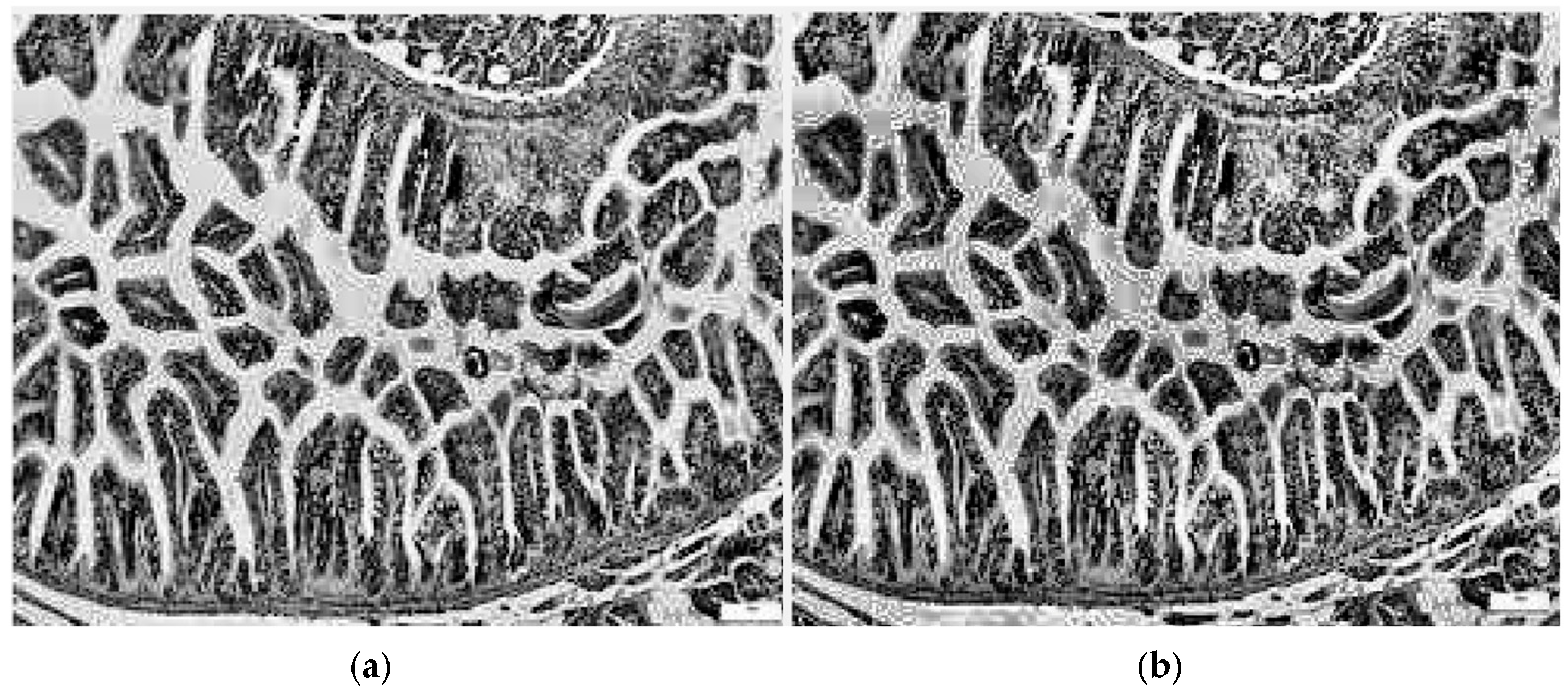 Diagnostics 15 02859 g007