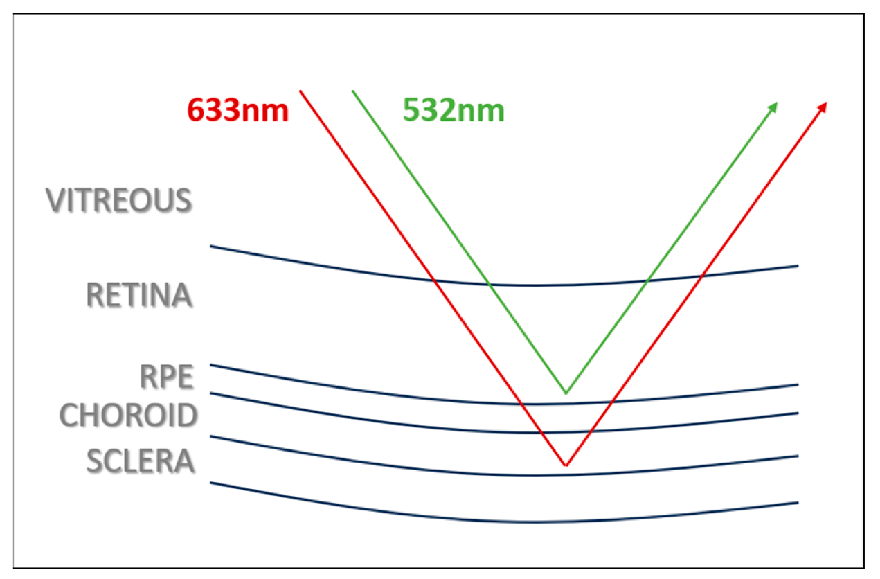 Diagnostics 15 02873 g005