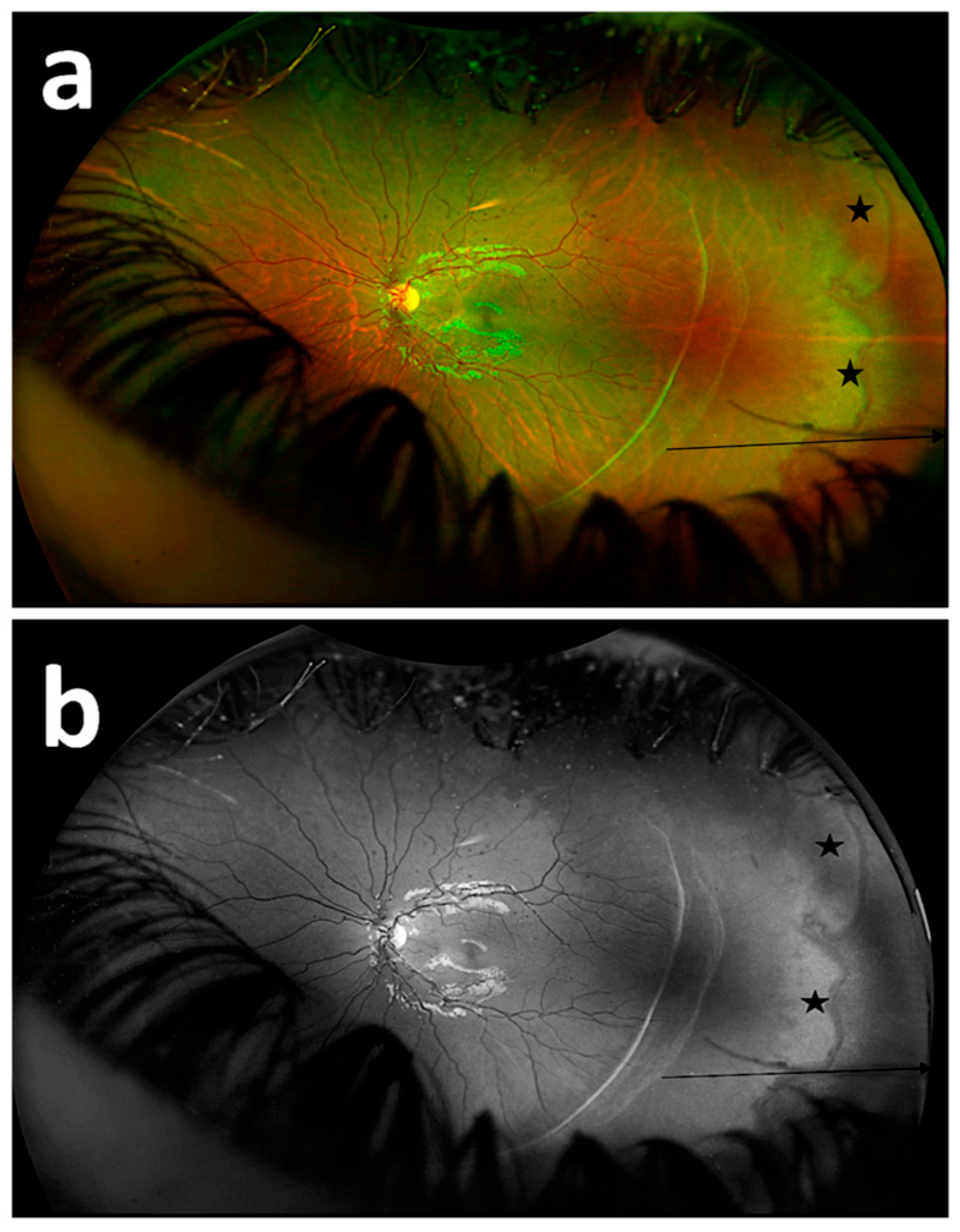 Diagnostics 15 02873 g006