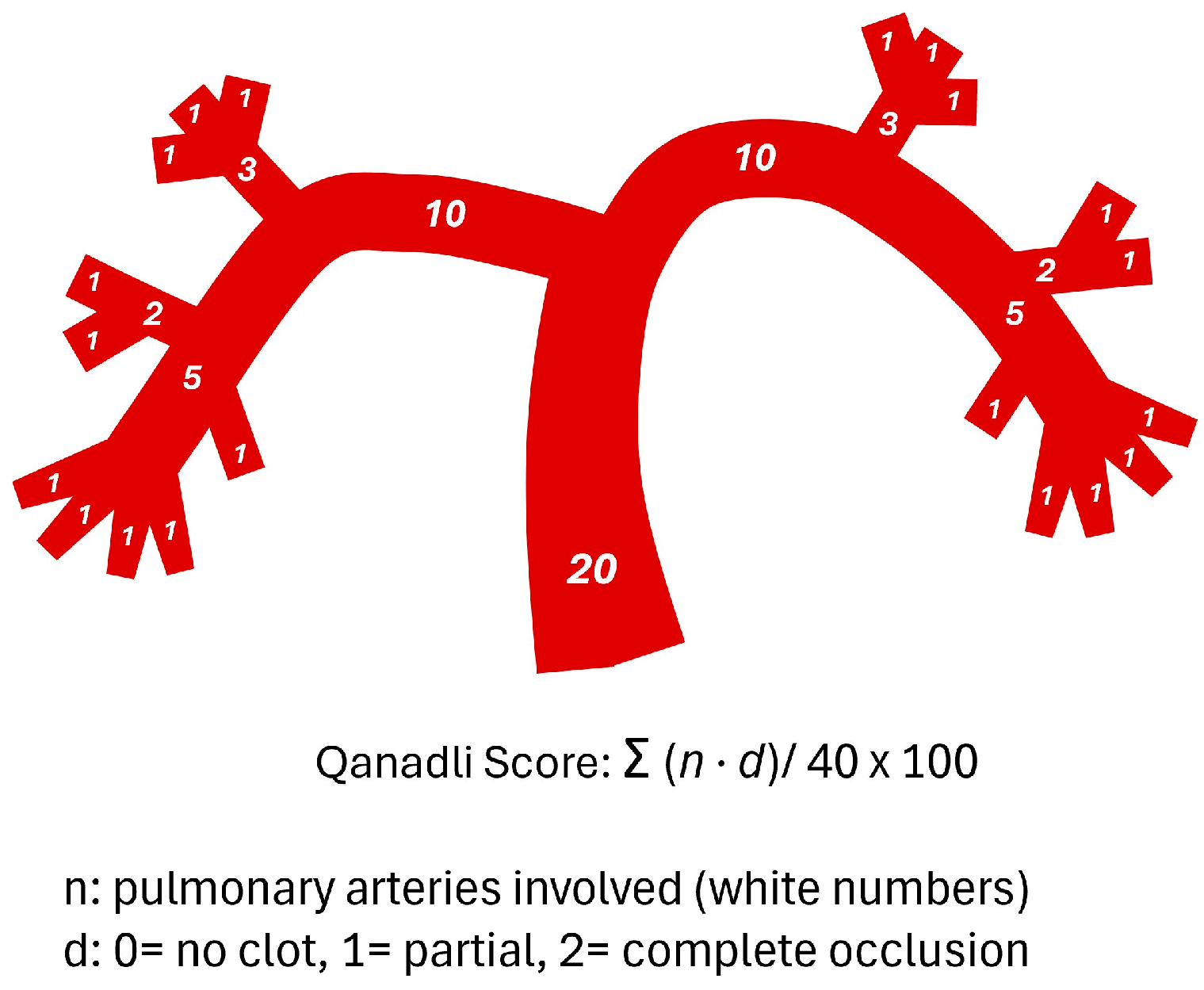 Diagnostics 15 02875 g002