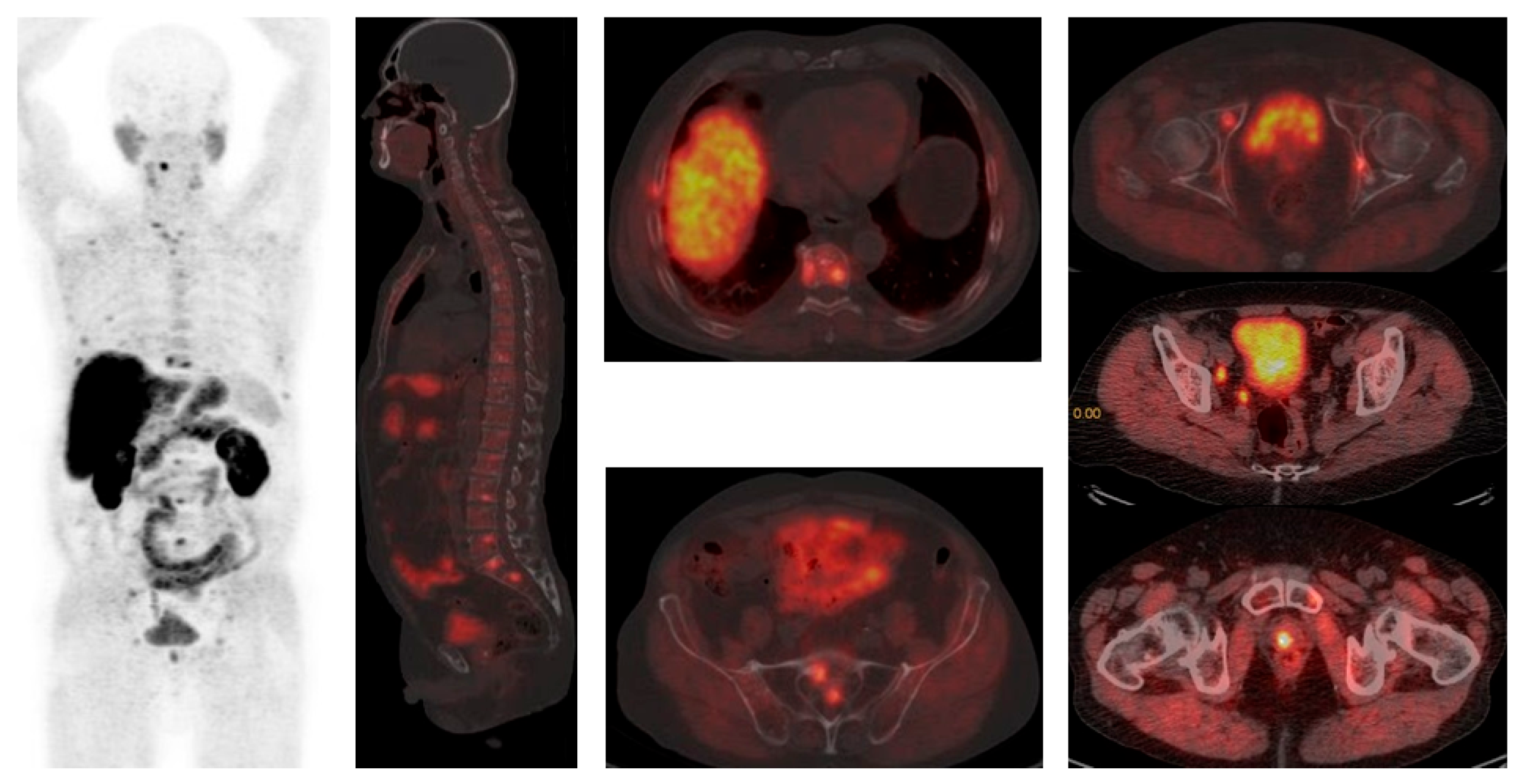 Diagnostics 15 02876 g001