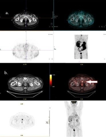 Diagnostics 15 02876 g002