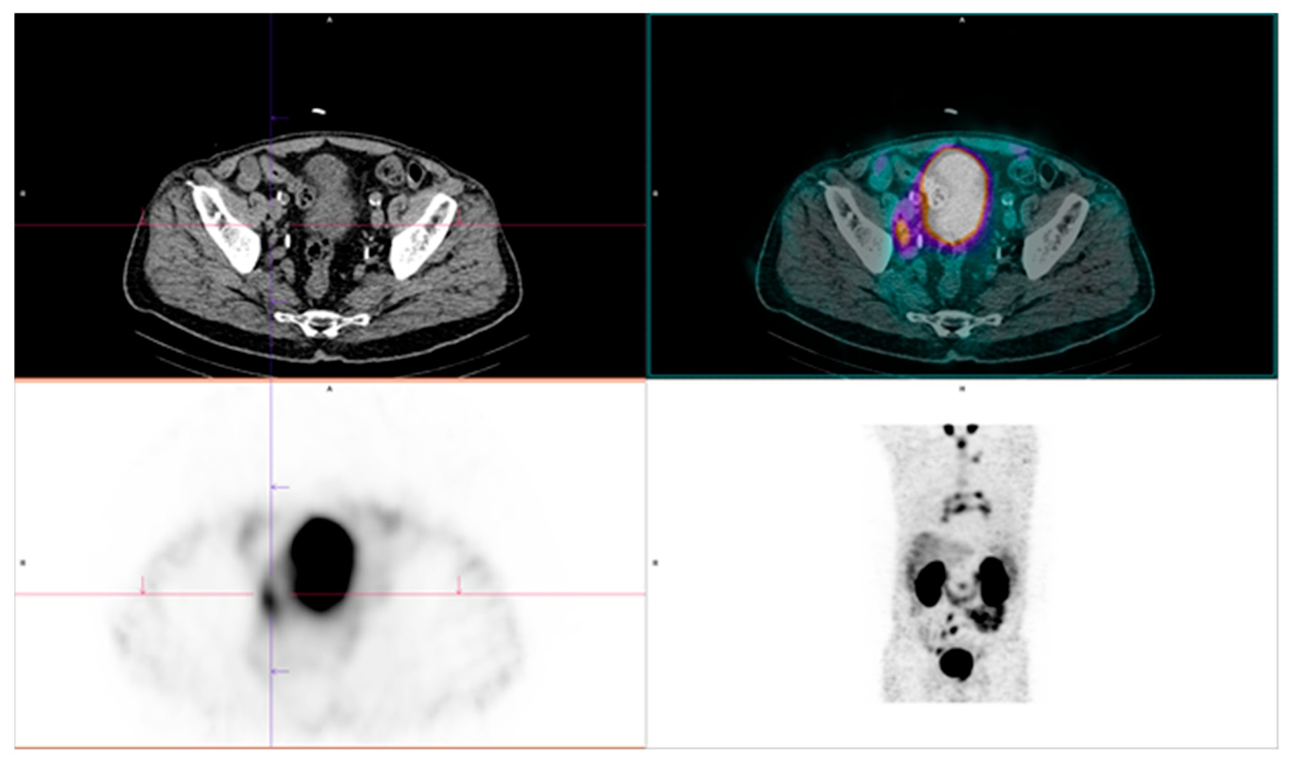 Diagnostics 15 02876 g004