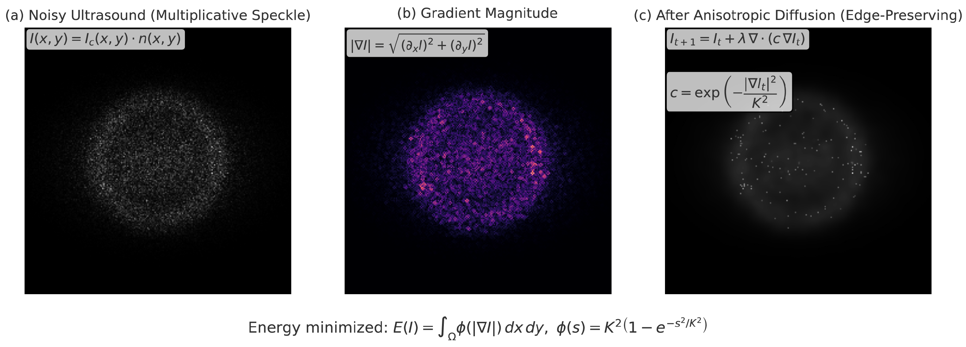Diagnostics 15 02879 g002 Diagnostics 15 02879 g002