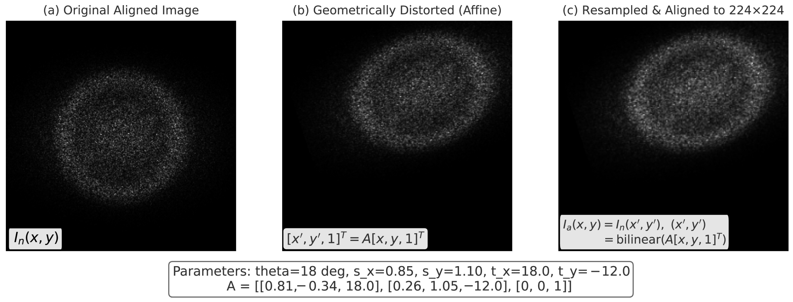Diagnostics 15 02879 g004 Diagnostics 15 02879 g004