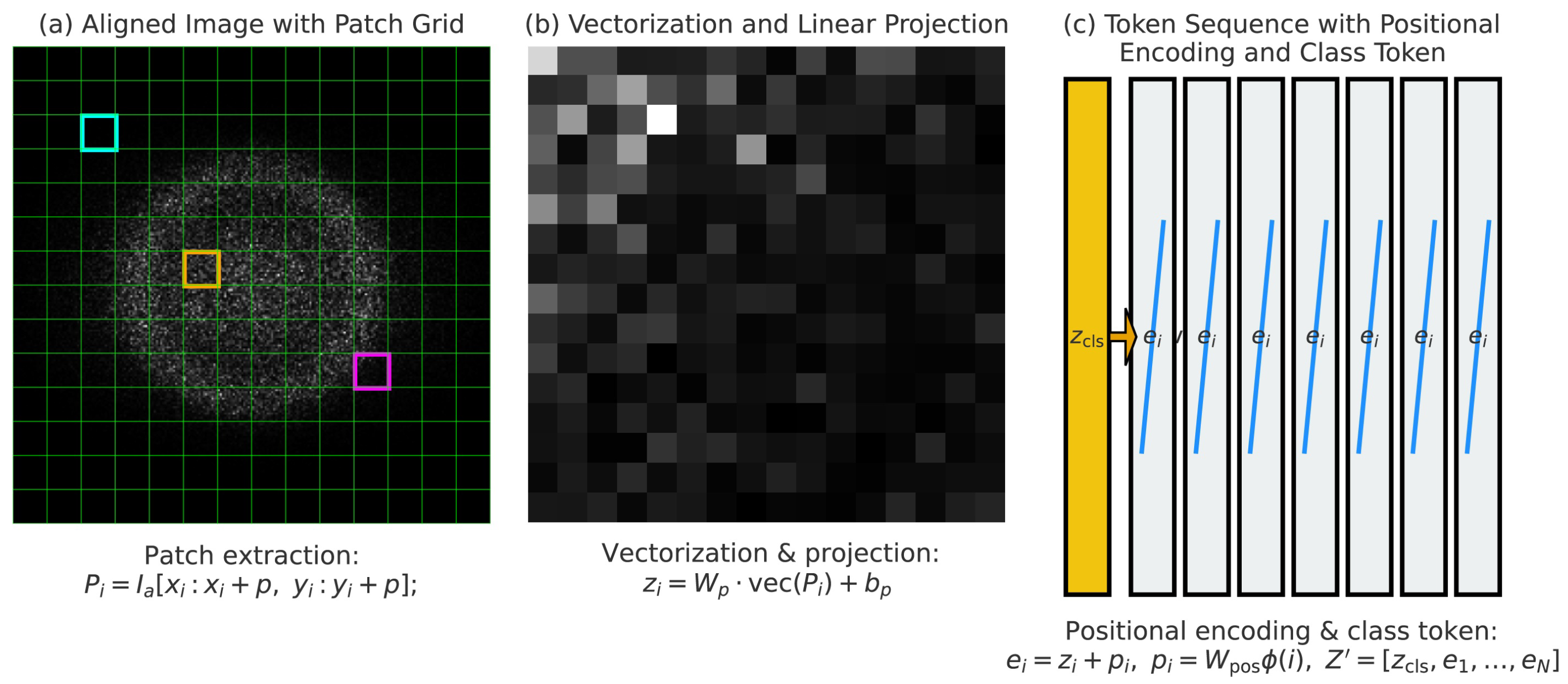 Diagnostics 15 02879 g006 Diagnostics 15 02879 g006