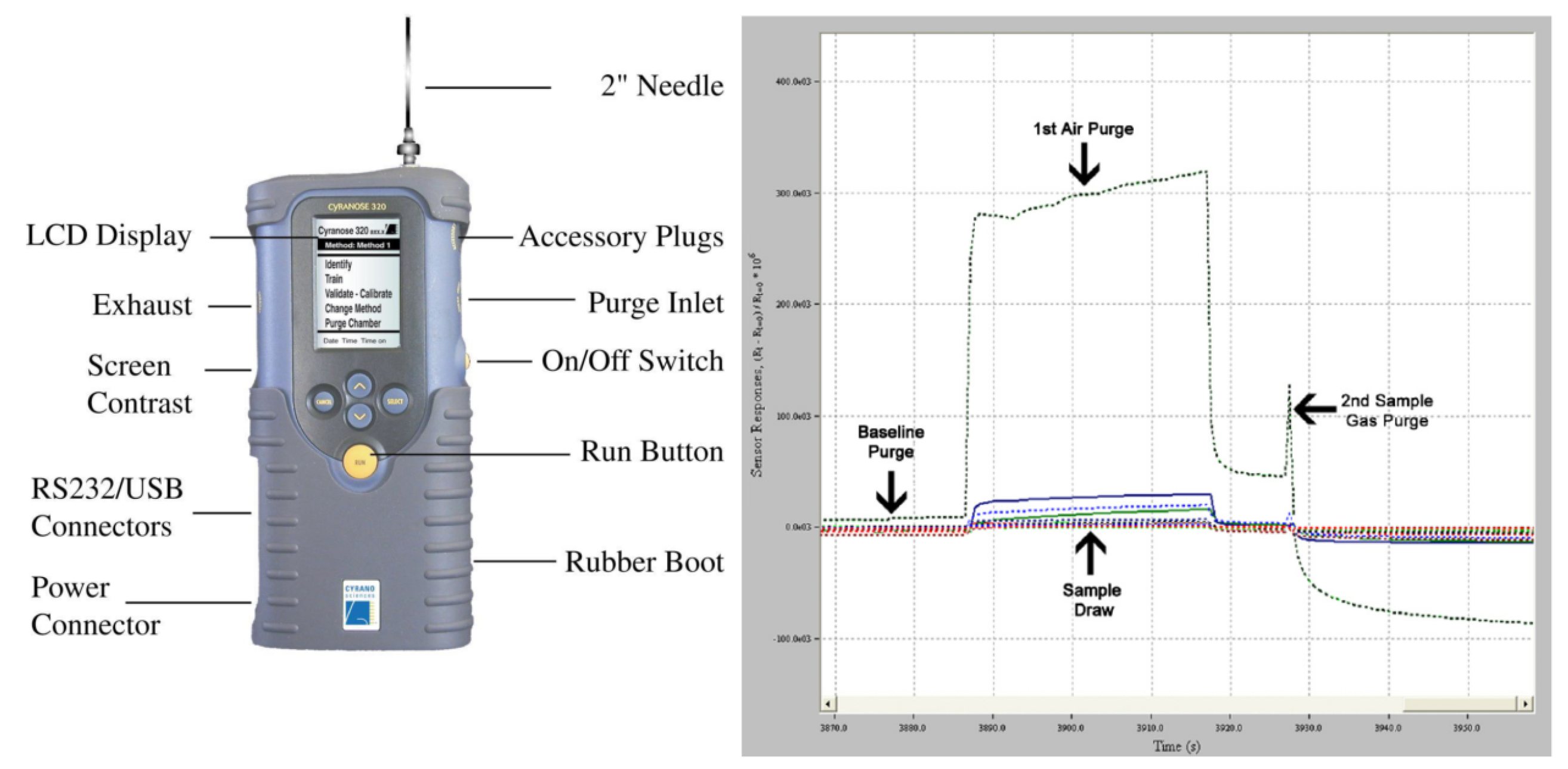 Diagnostics 15 02884 g001