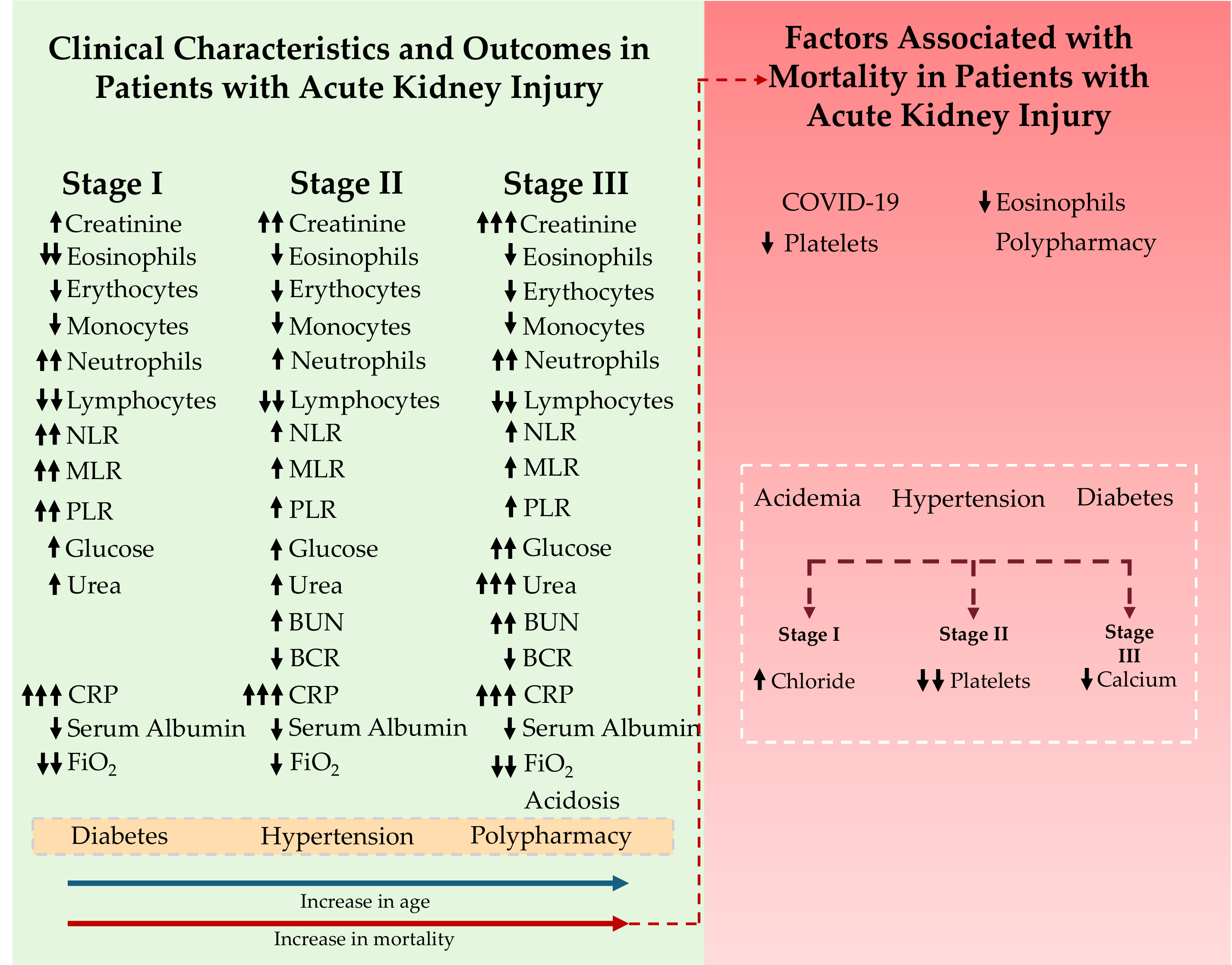 Diagnostics 15 02889 g003