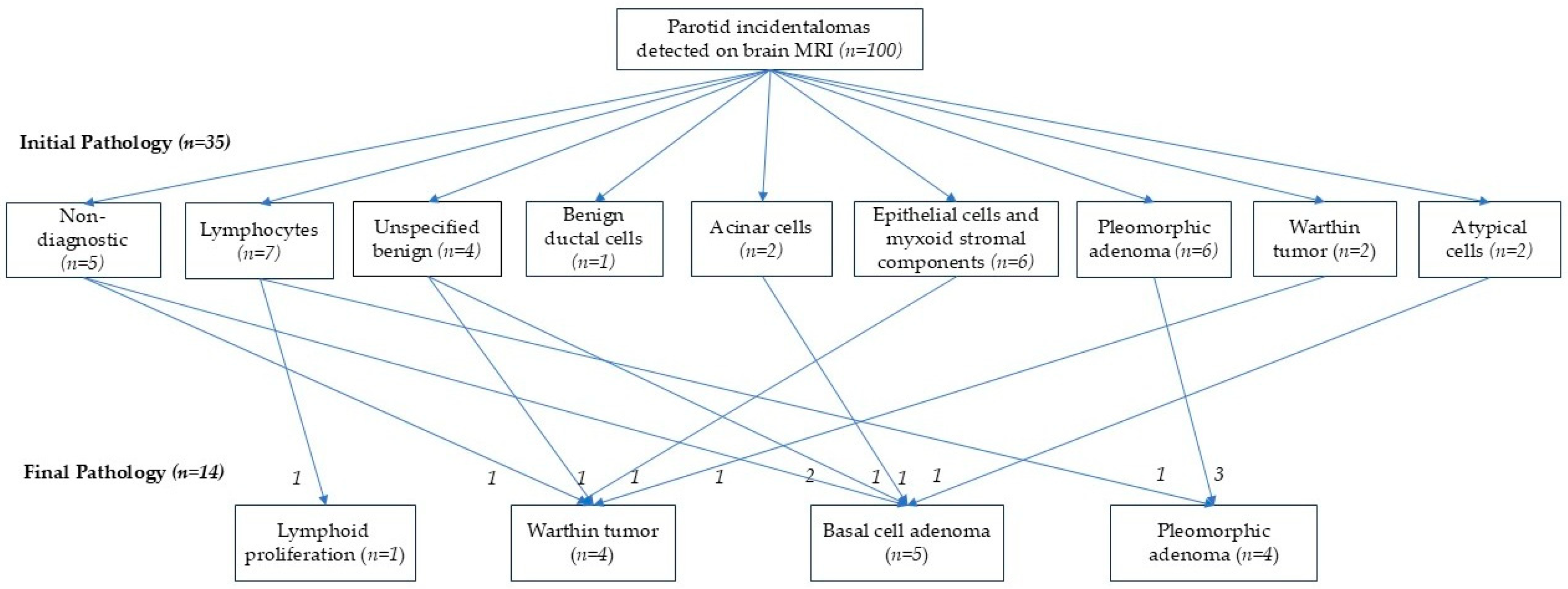 Diagnostics 15 02895 g002