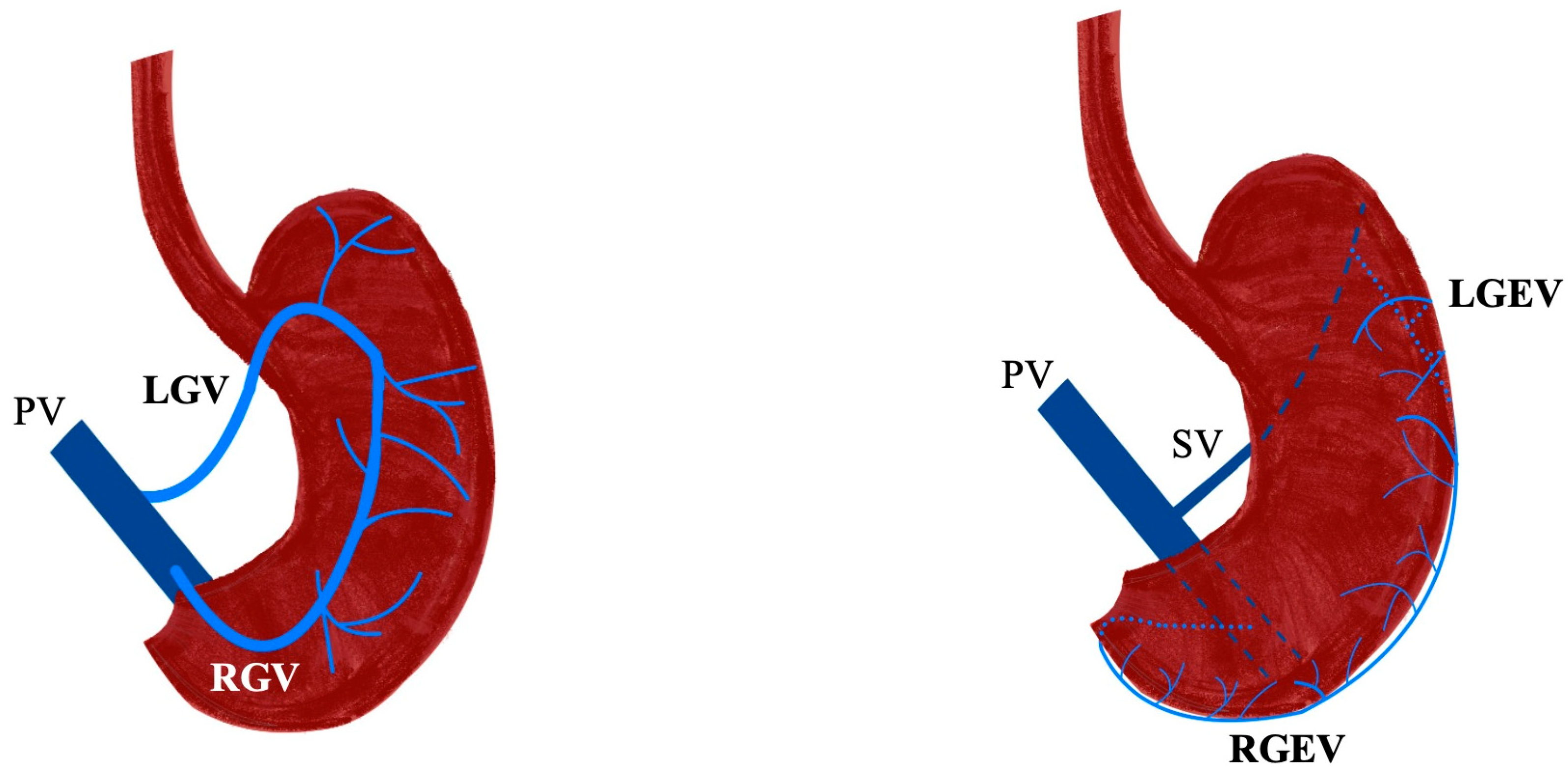 Diagnostics 15 02896 g003