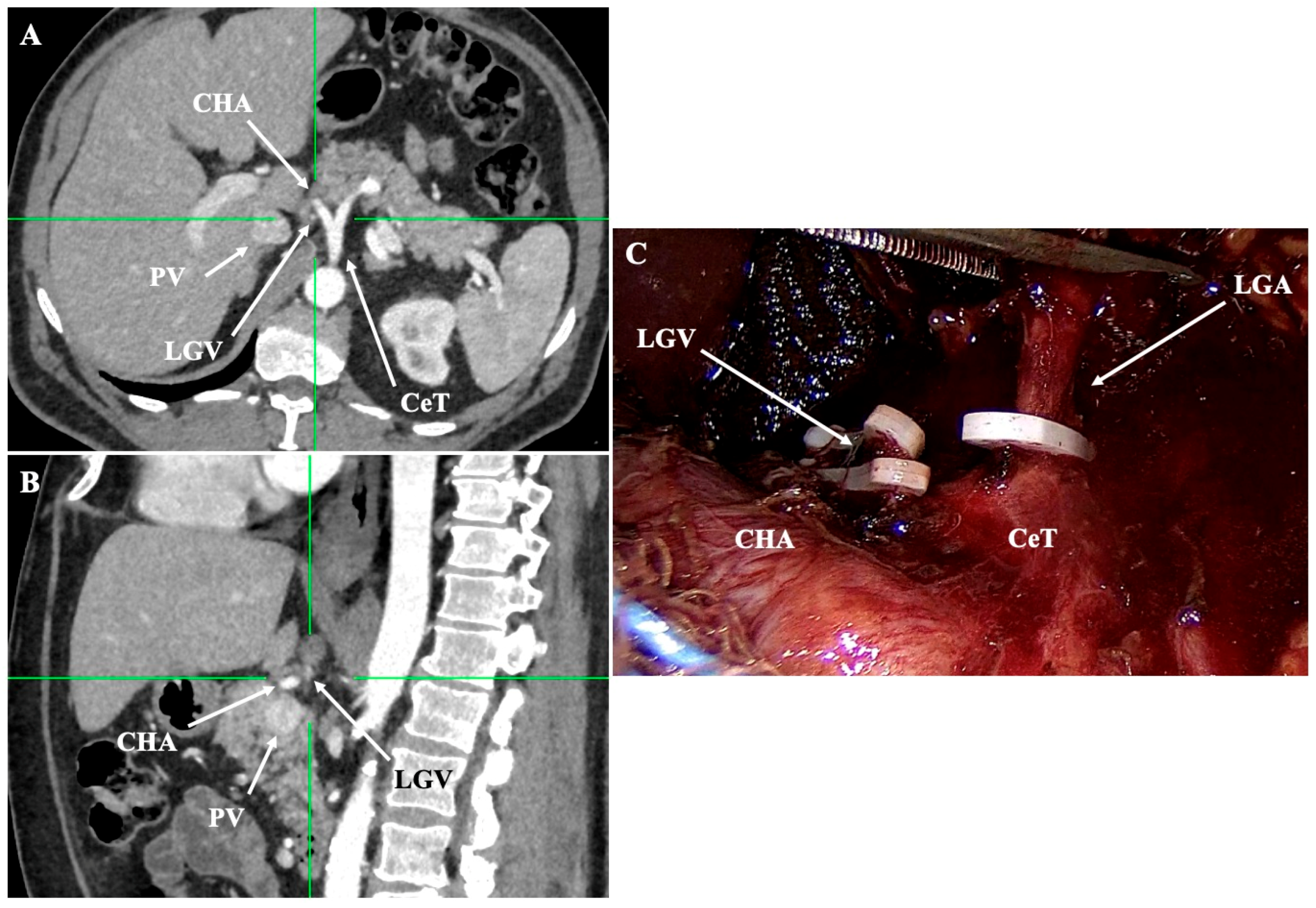 Diagnostics 15 02896 g004