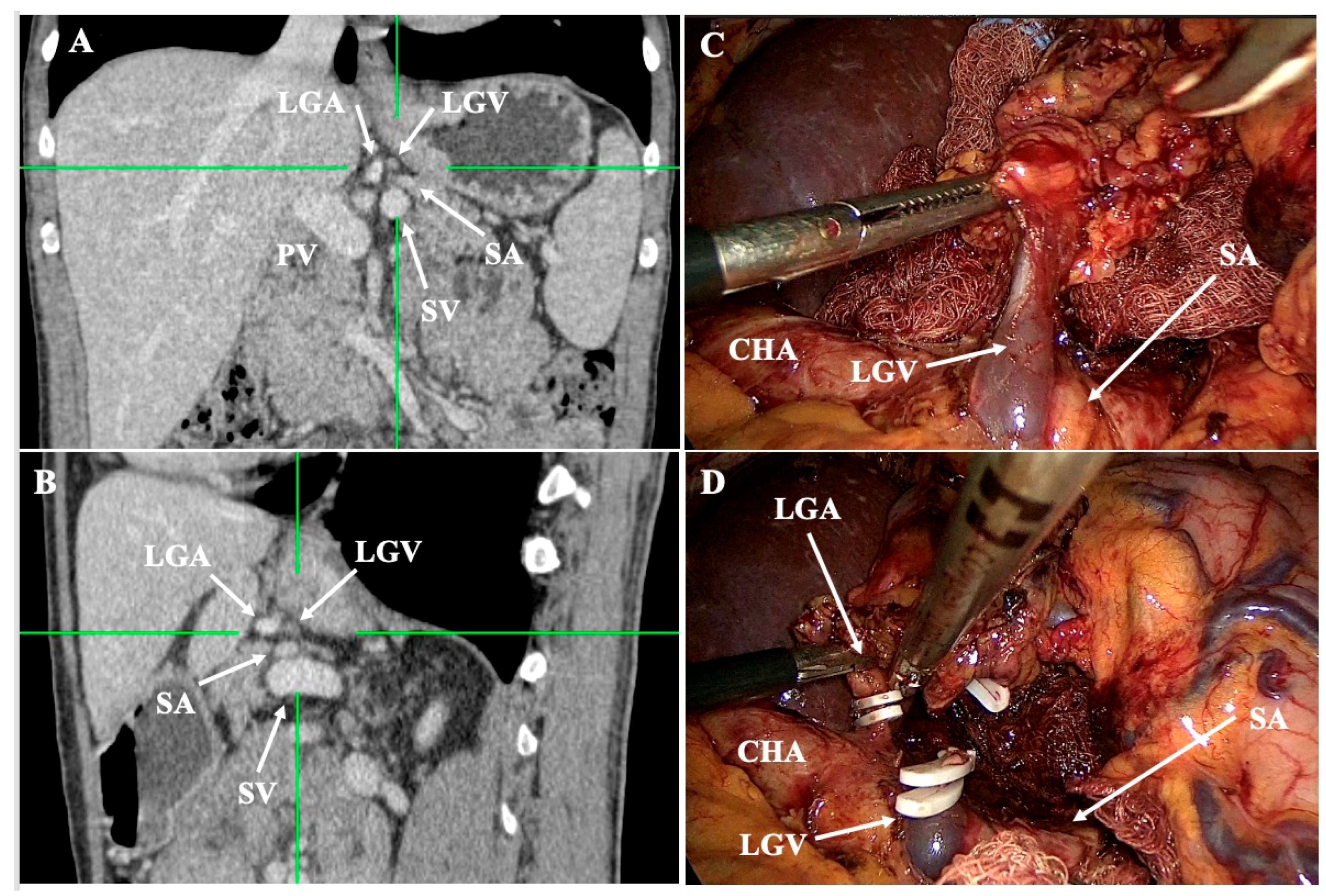 Diagnostics 15 02896 g005