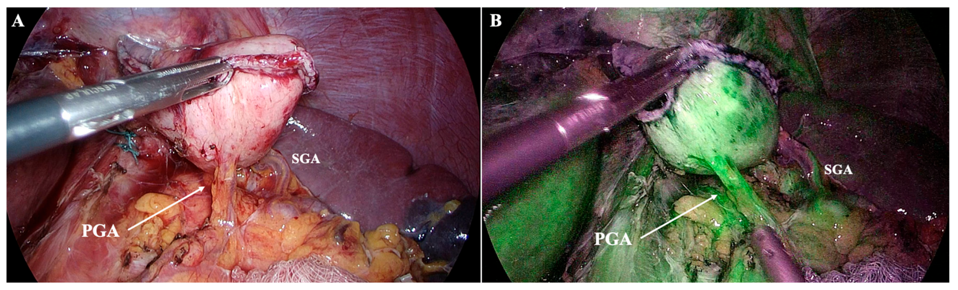 Diagnostics 15 02896 g006