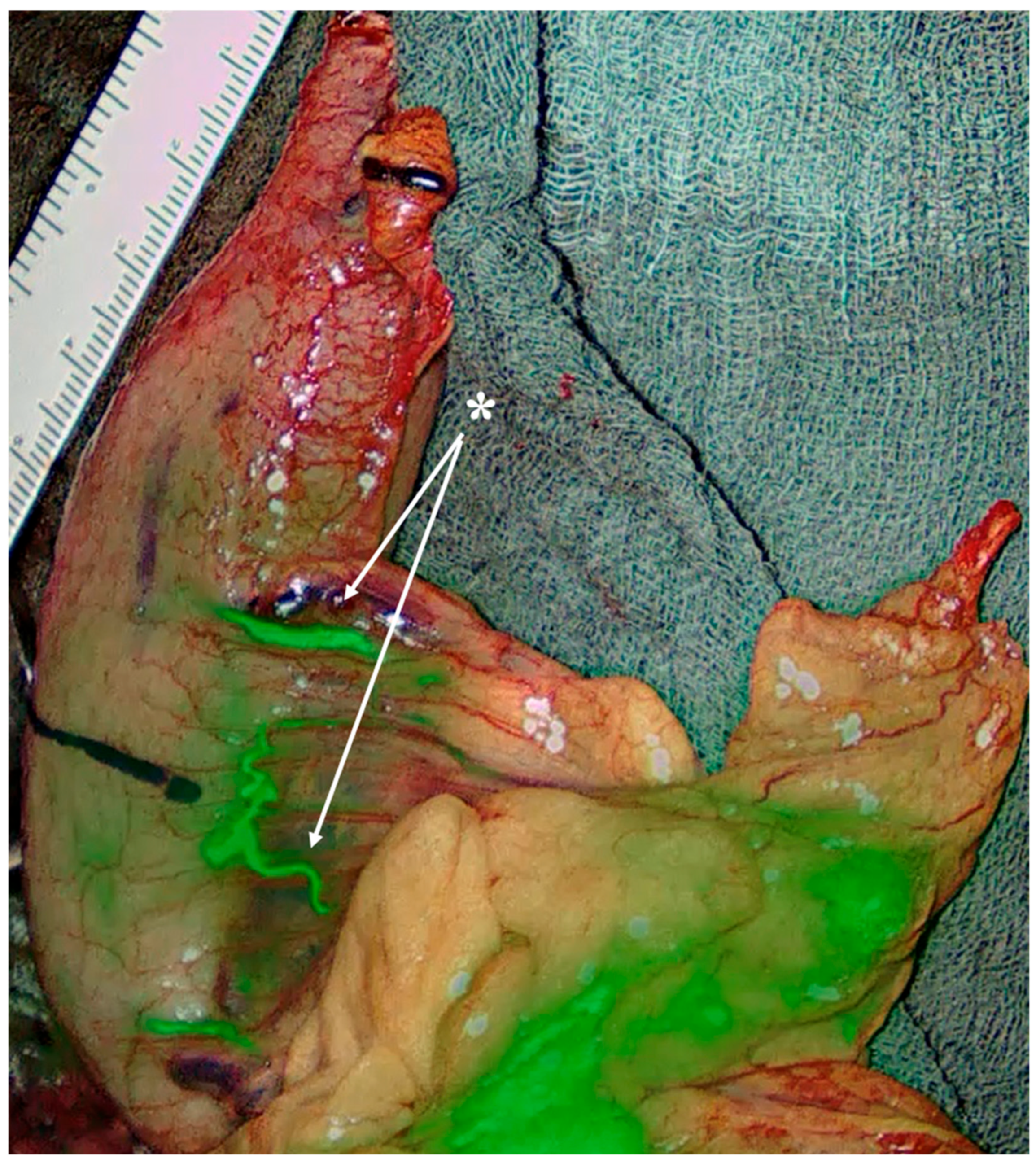 Diagnostics 15 02896 g007