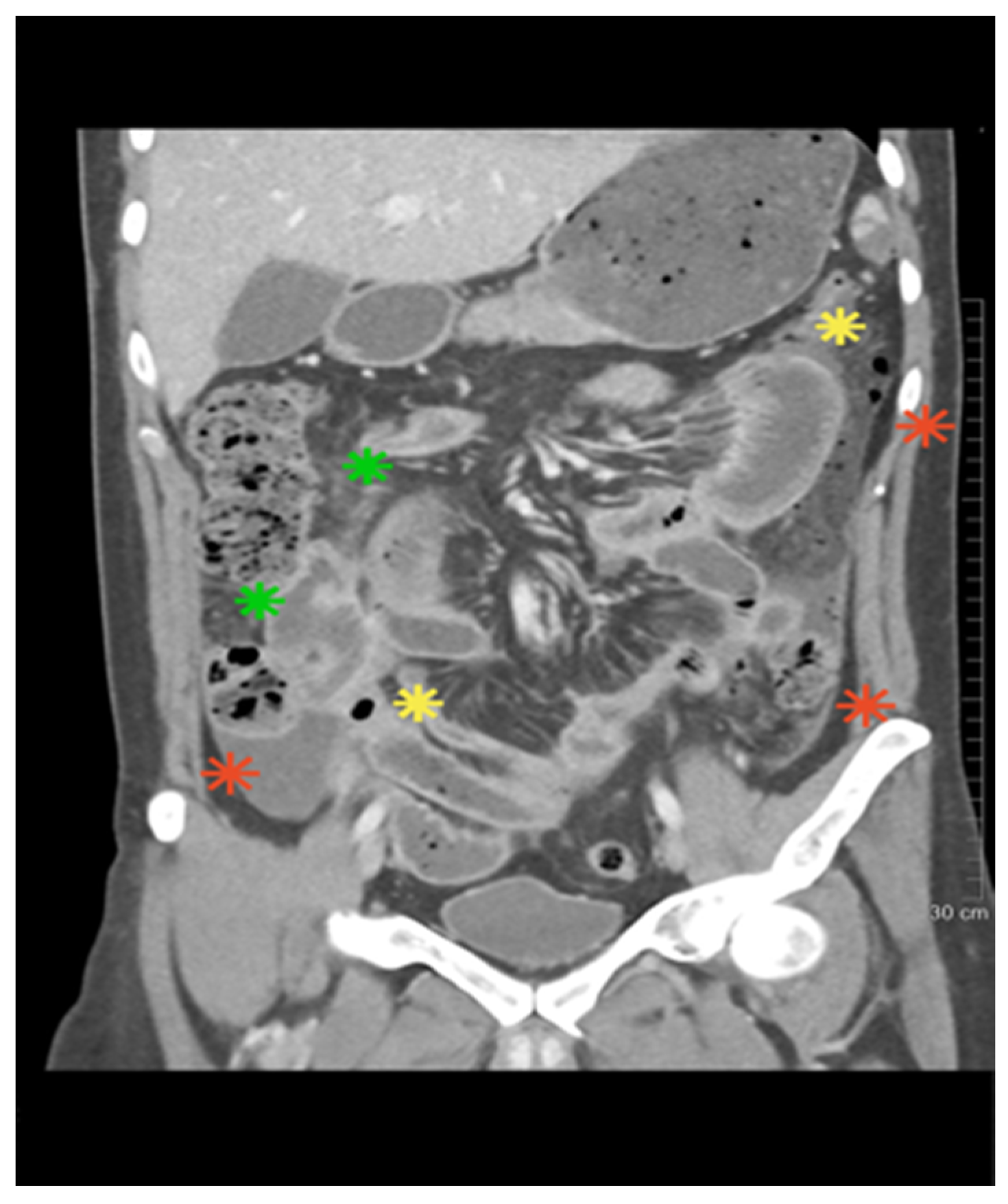 Diagnostics 15 02897 g001